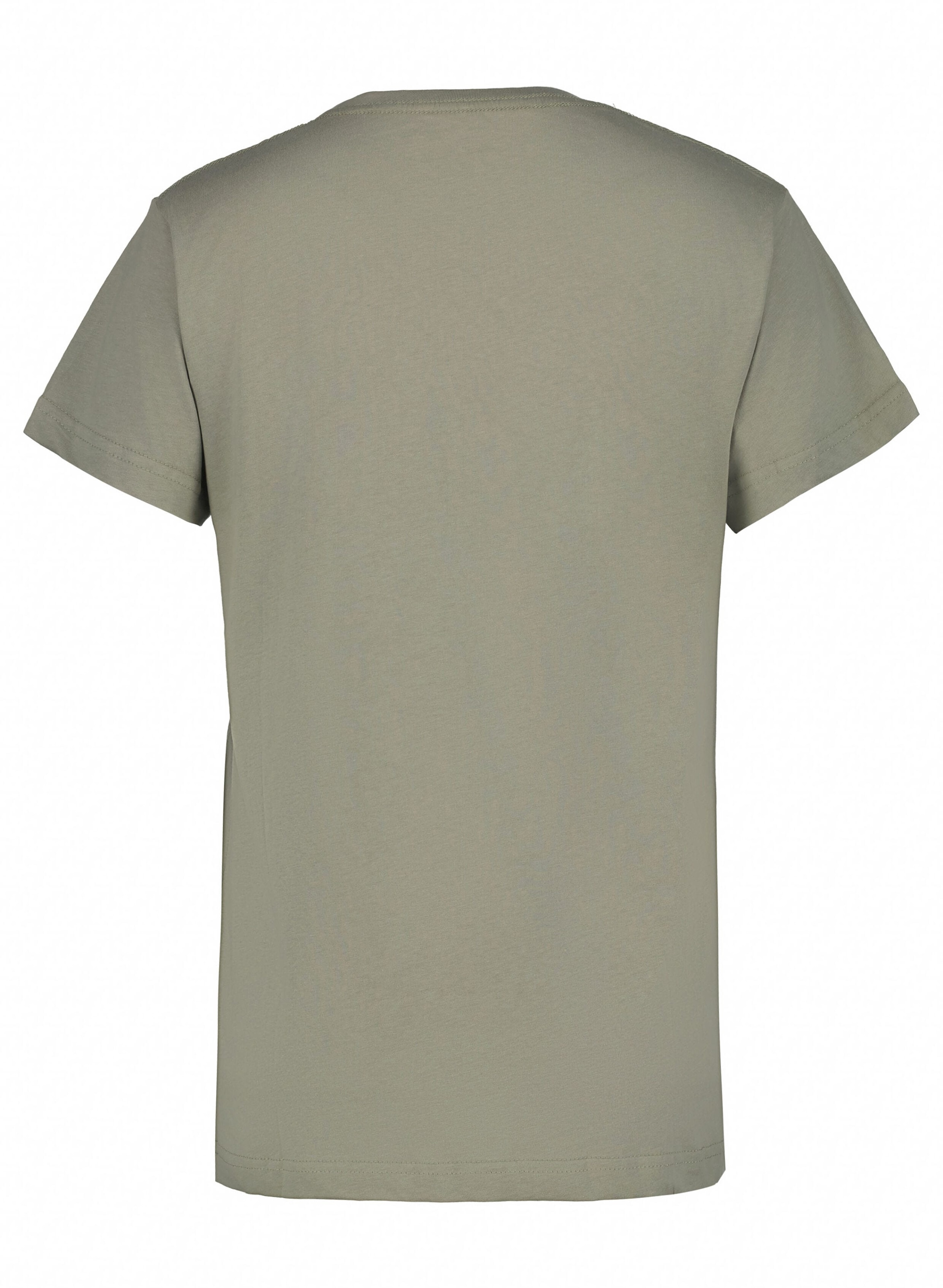 Icepeak T-Shirt »D T-SHIRT MARICOPA«, (1 tlg.)