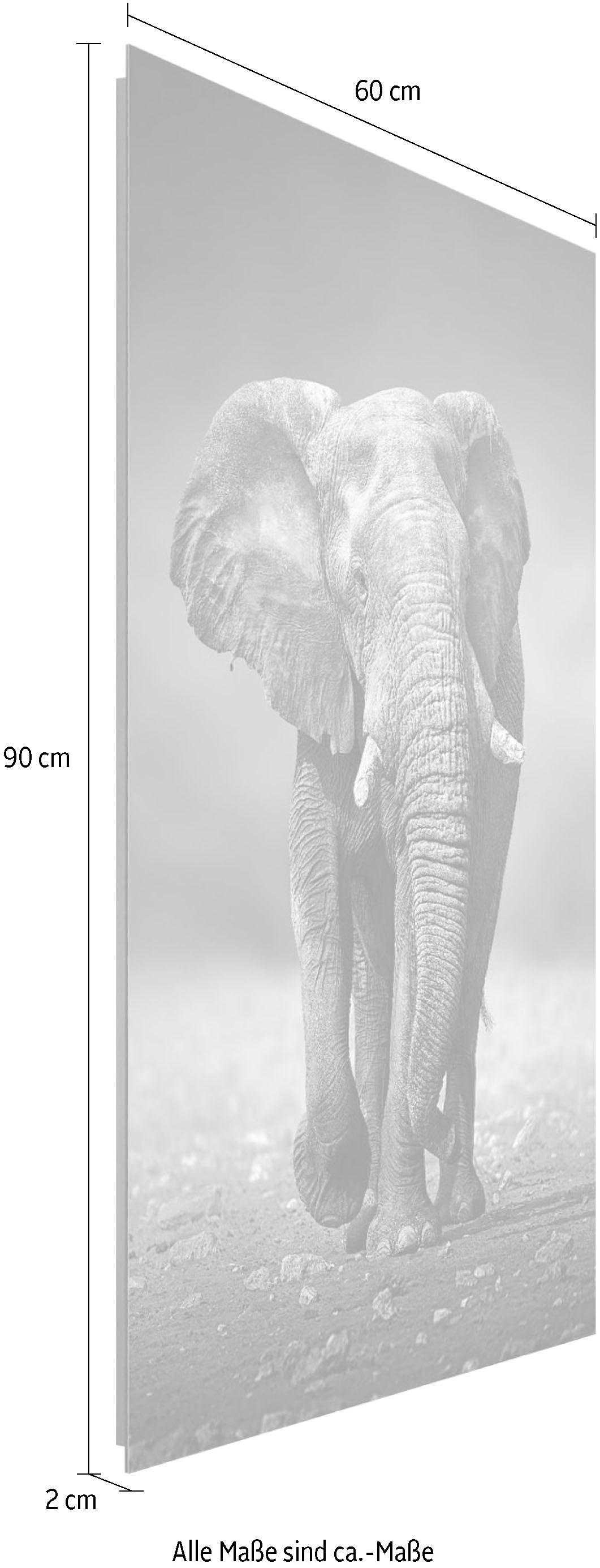 Reinders! Deco-Panel »Elefant Wanderung« auf Raten bestellen