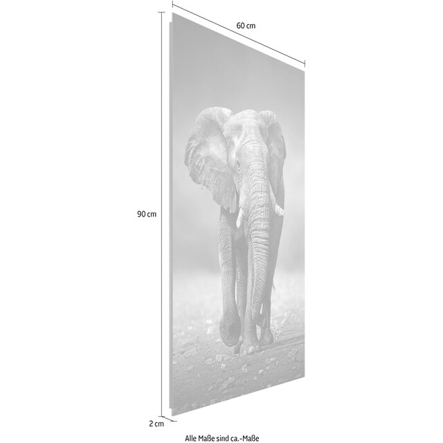 Reinders! Deco-Panel »Elefant Wanderung« auf Raten bestellen