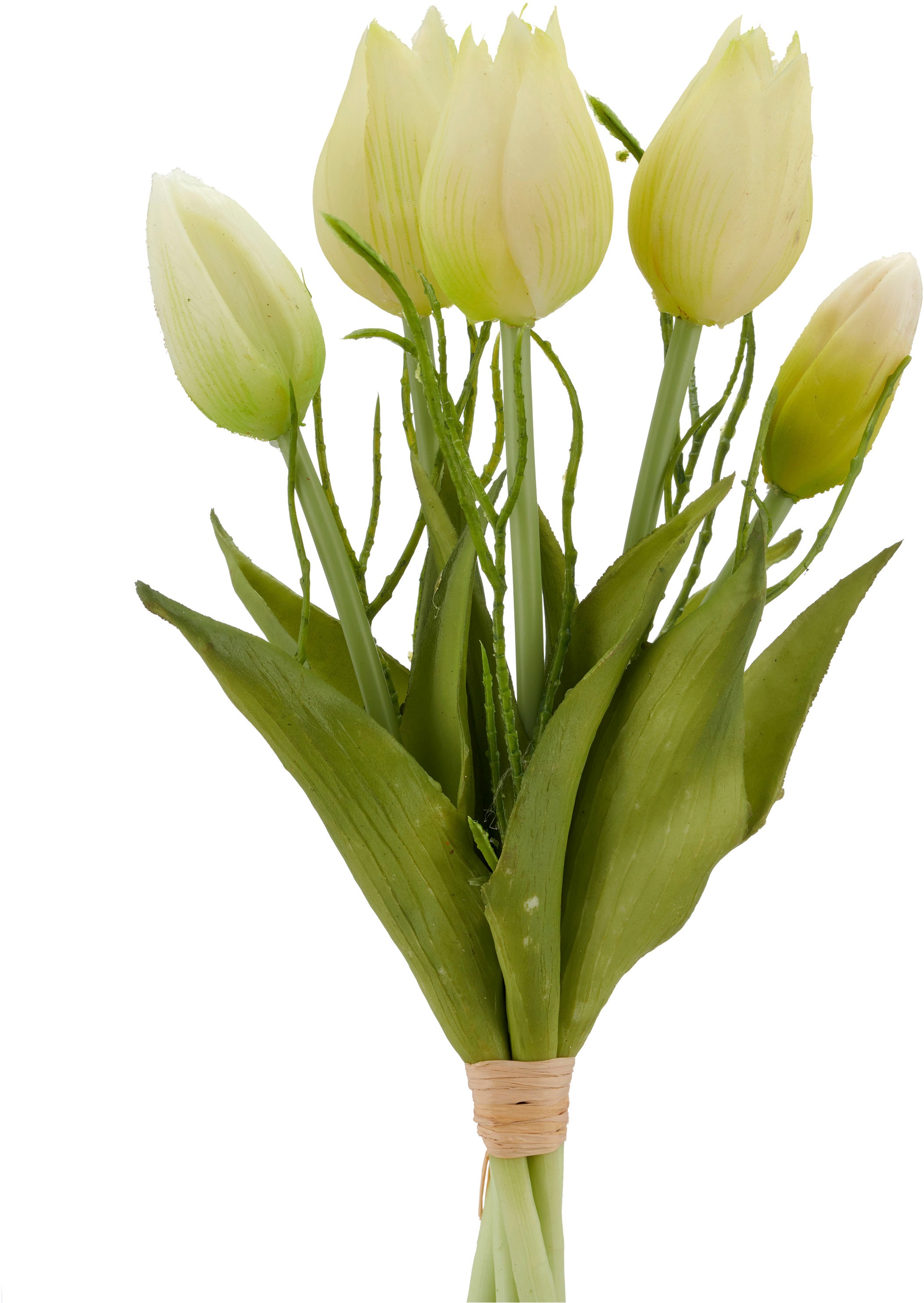 Creativ green Kunsttulpe »Tulpenbund« mit Zweigen