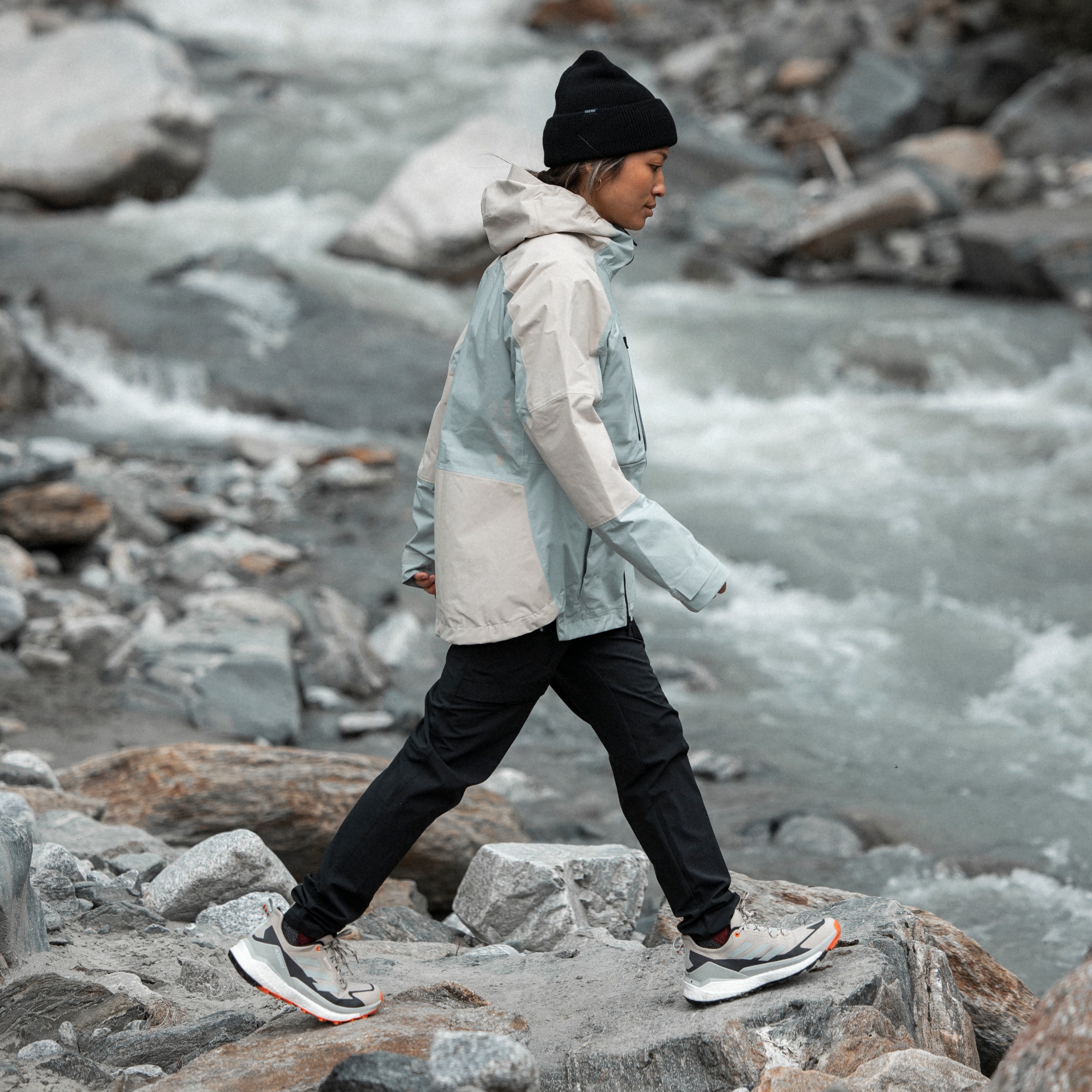 adidas TERREX Wanderschuh »TERREX FREE HIKER 2 LOW Gore-Tex W«, wasserdicht