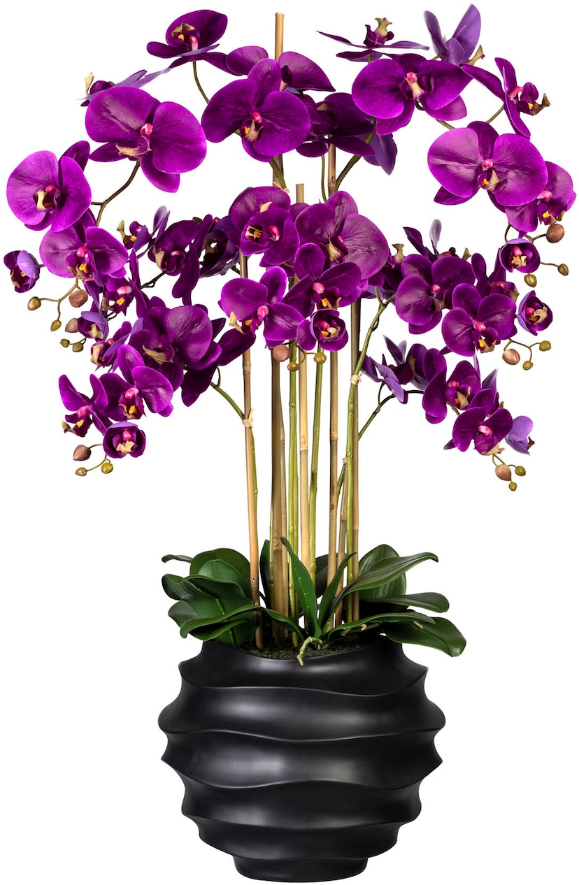 Botanic-Haus Künstliche Zimmerpflanze »Lavendel - Erika Arrangement im Korb«  auf Raten bestellen