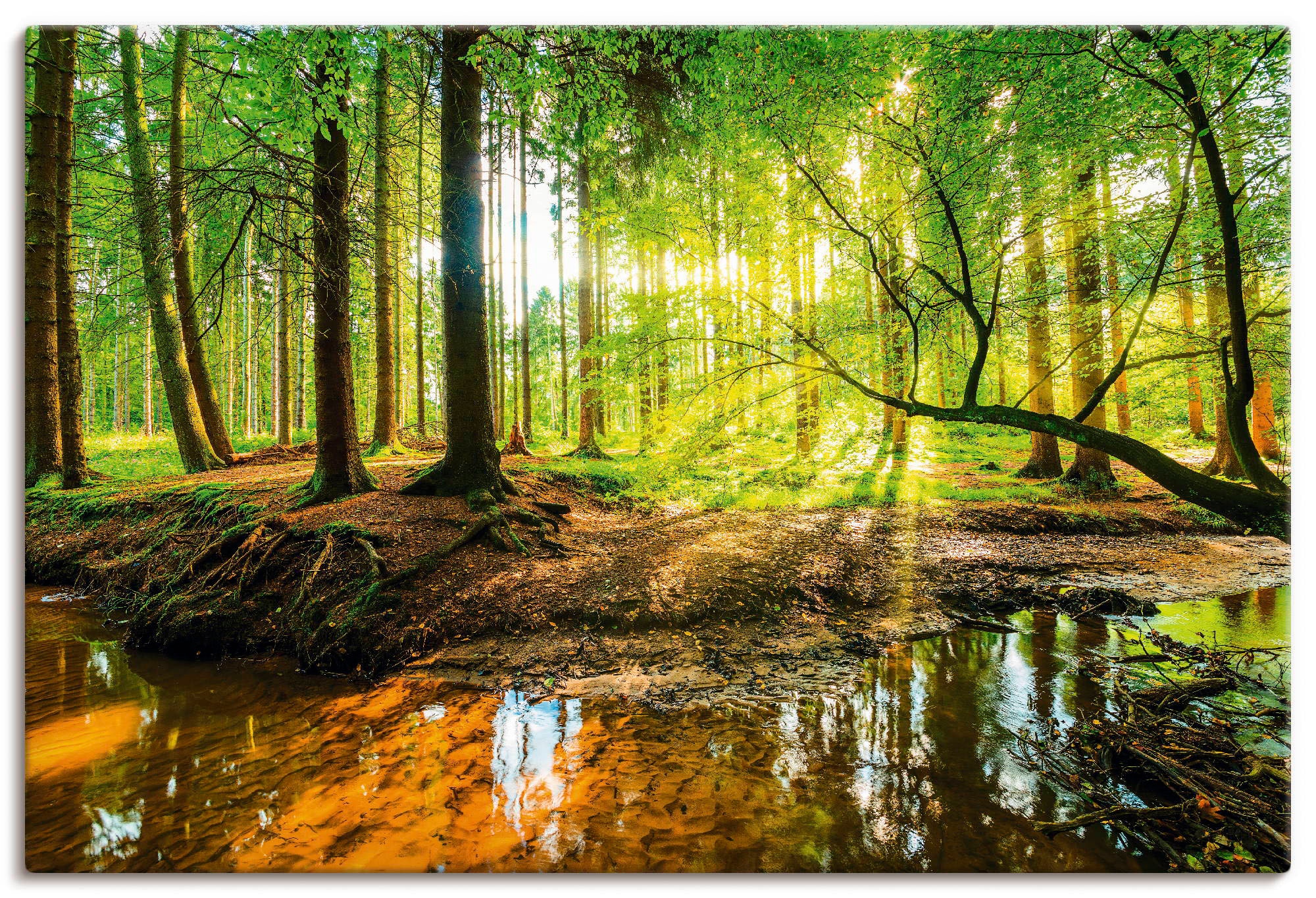 Wald, Alubild, bequem mit Wandaufkleber versch. Artland St.), Größen in als kaufen (1 Poster oder Bach«, Leinwandbild, »Wald Wandbild