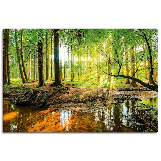Artland Wandbild »Wald mit Bach«, Wald, (1 St.), als Alubild, Leinwandbild,  Wandaufkleber oder Poster in versch. Größen bequem kaufen