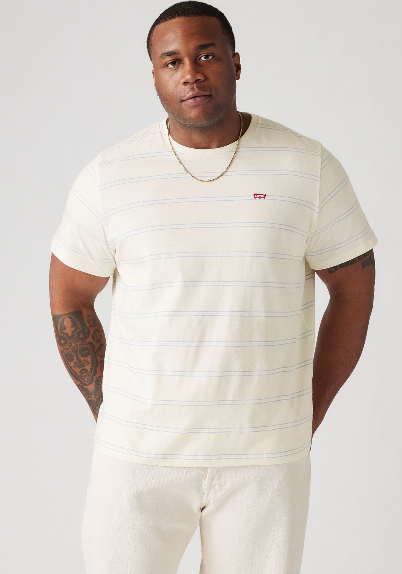 Levi's® Plus Rundhalsshirt »BIG ORIGINAL HM TEE«, im Ringel-Dessin