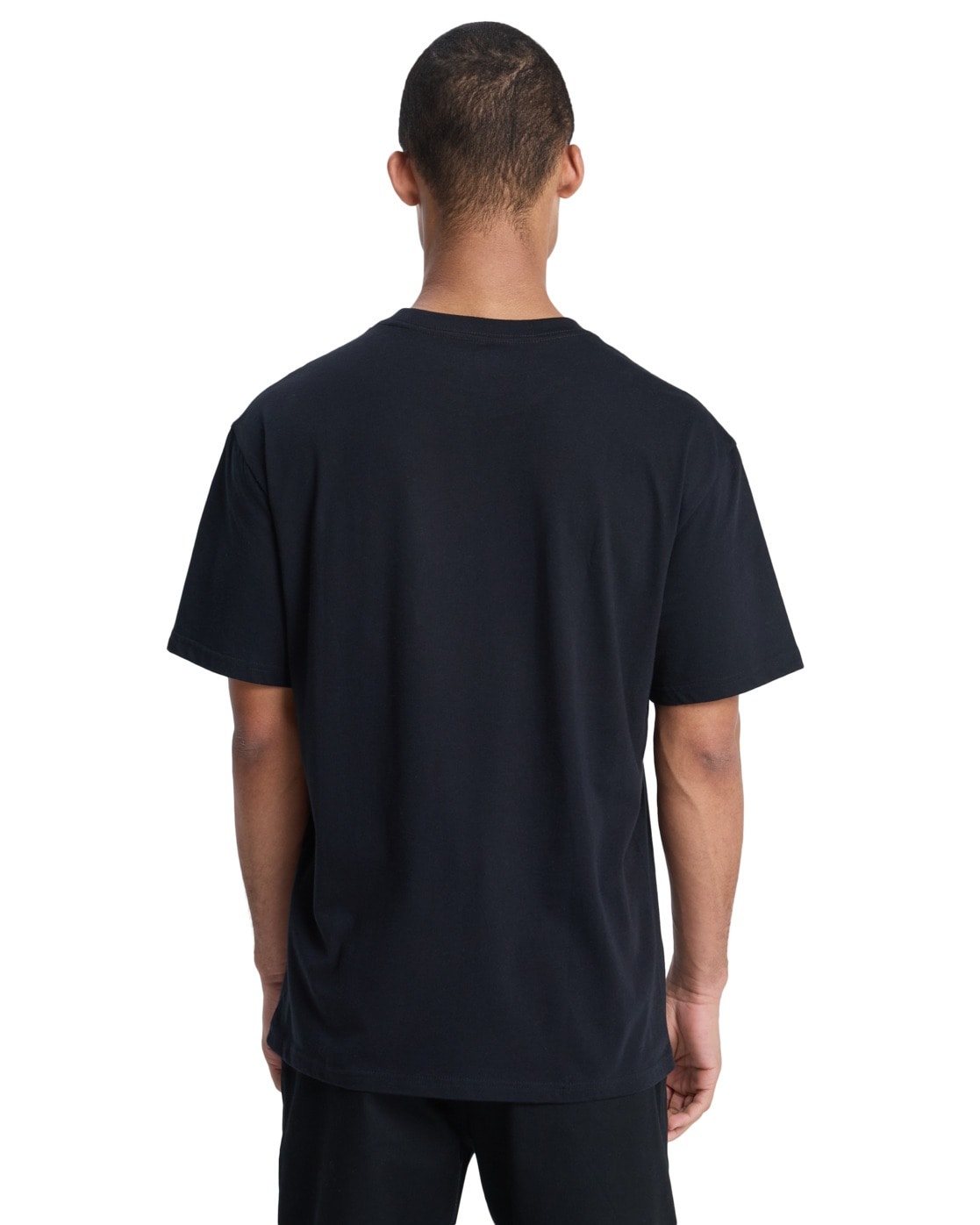 Quiksilver T-Shirt »Salt Water«