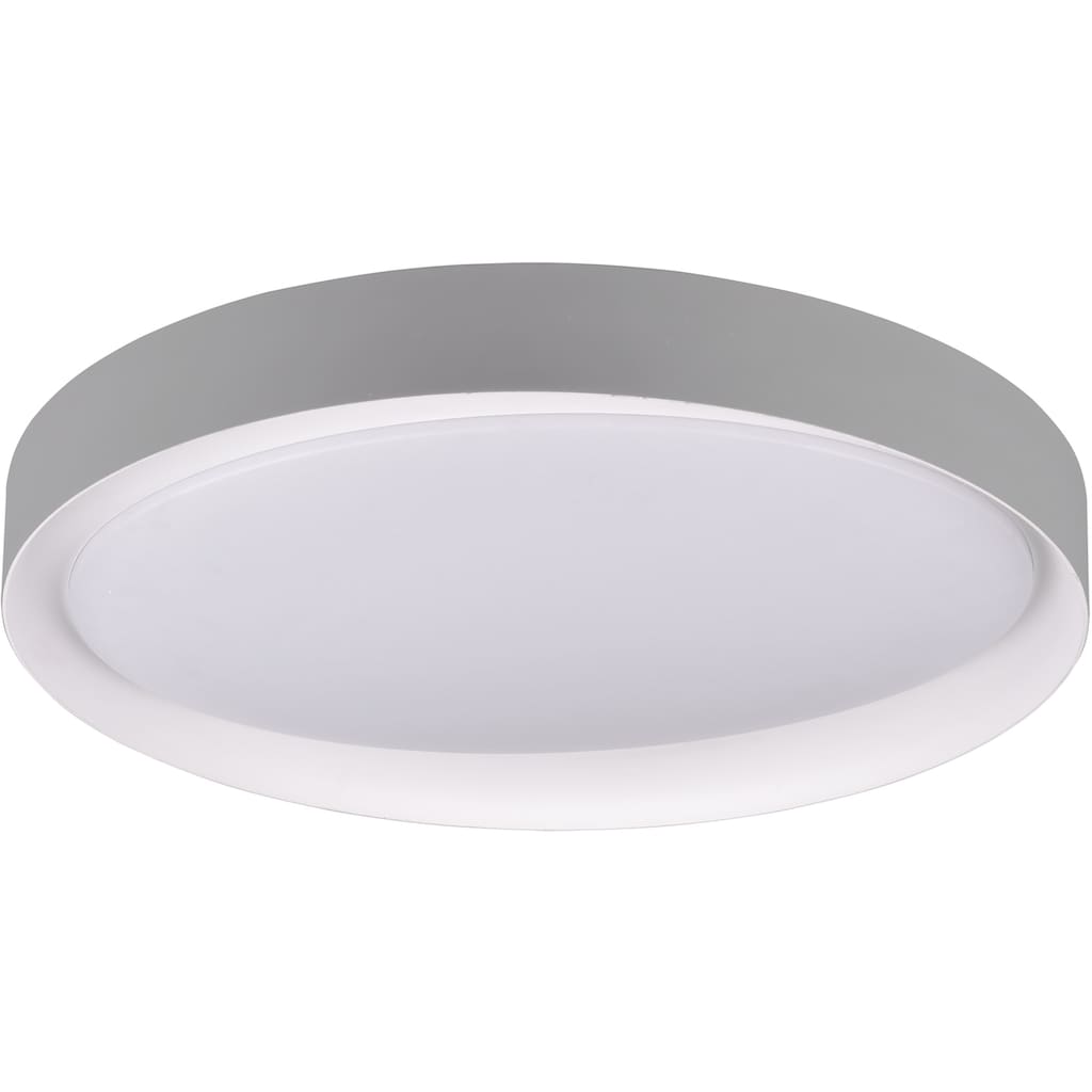 TRIO Leuchten LED Deckenleuchte »Zeta«,  Ø 49 cm