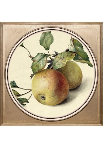 queence Acrylglasbild »Äpfel« kaufen