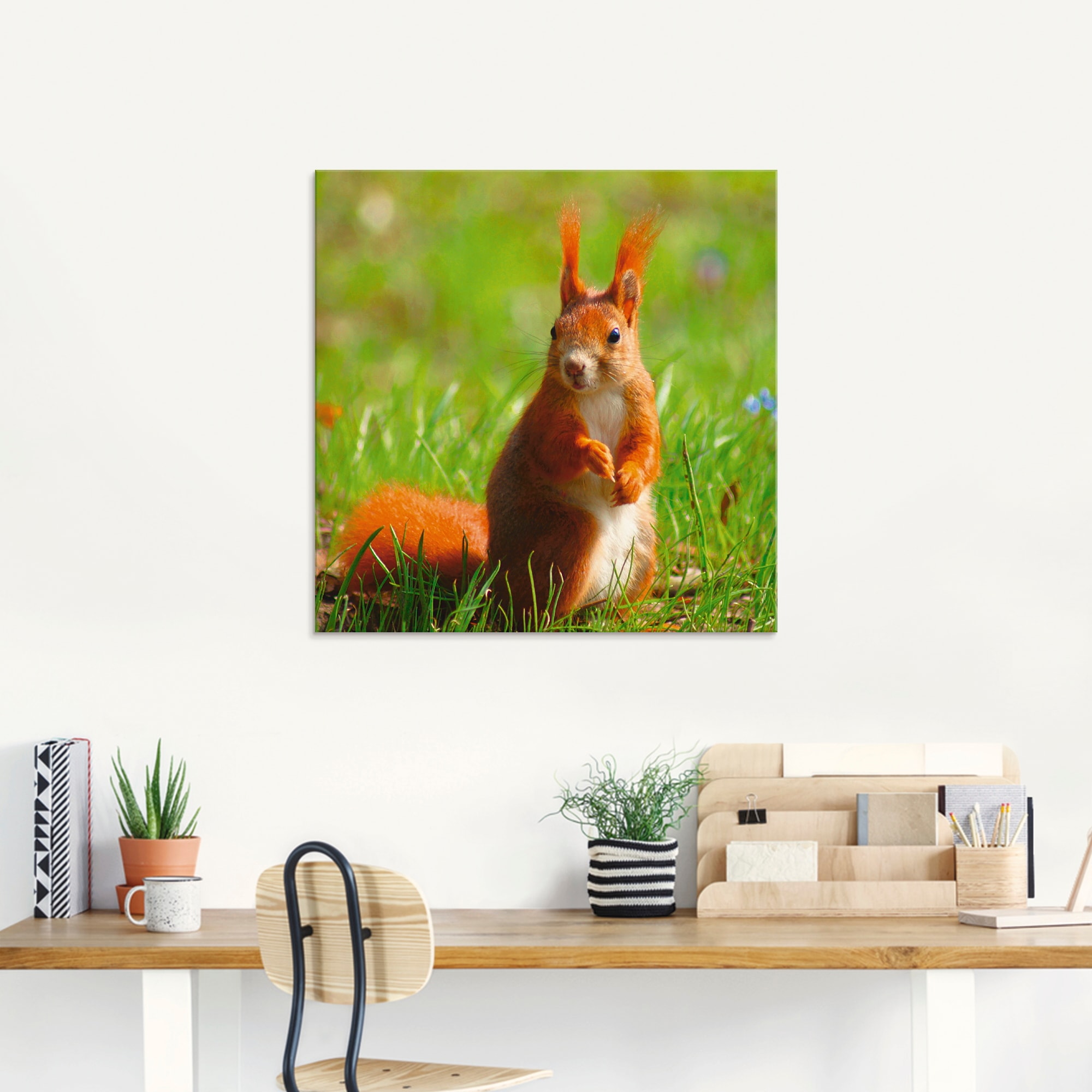 Artland Glasbild »Eichhörnchen Kontakt«, Wildtiere, (1 St.), in  verschiedenen Größen bequem bestellen