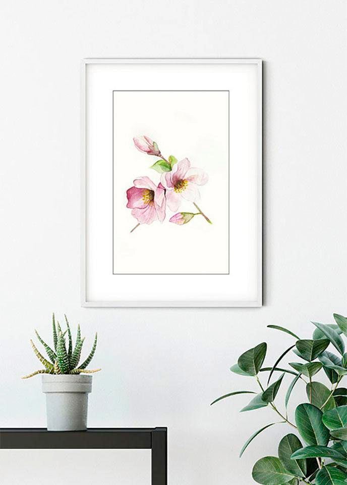 Komar Bild »Magnolia Breathe« Blumen 1 Stk. tlg. Wandbild zur Dekoration - ohne Rahmen