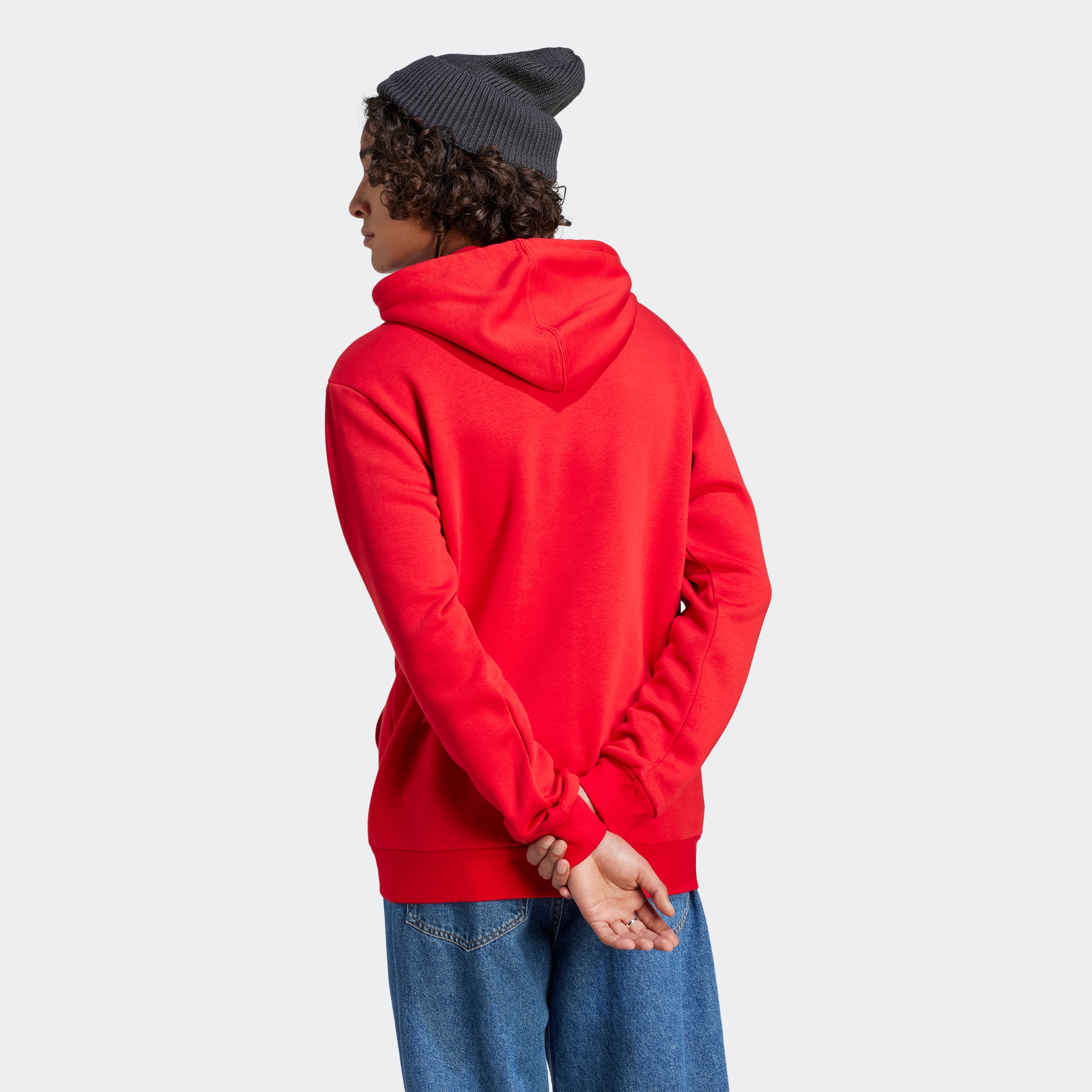 adidas Sportswear Kapuzensweatshirt »ESSENTIALS BIG LOGO HOODIE«