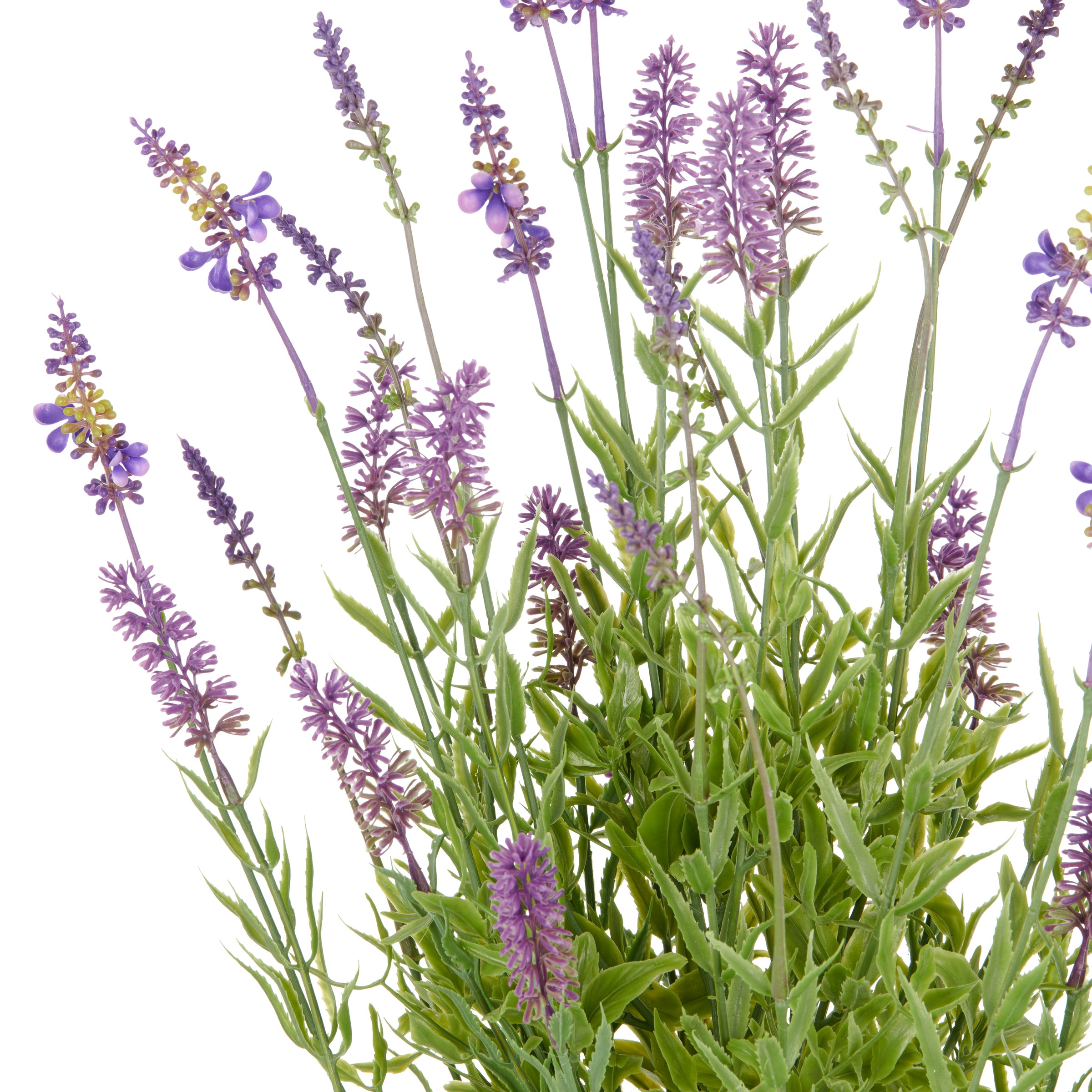 Creativ green Kunstpflanze »Lavendel« mit filigranen Lavendelbüten