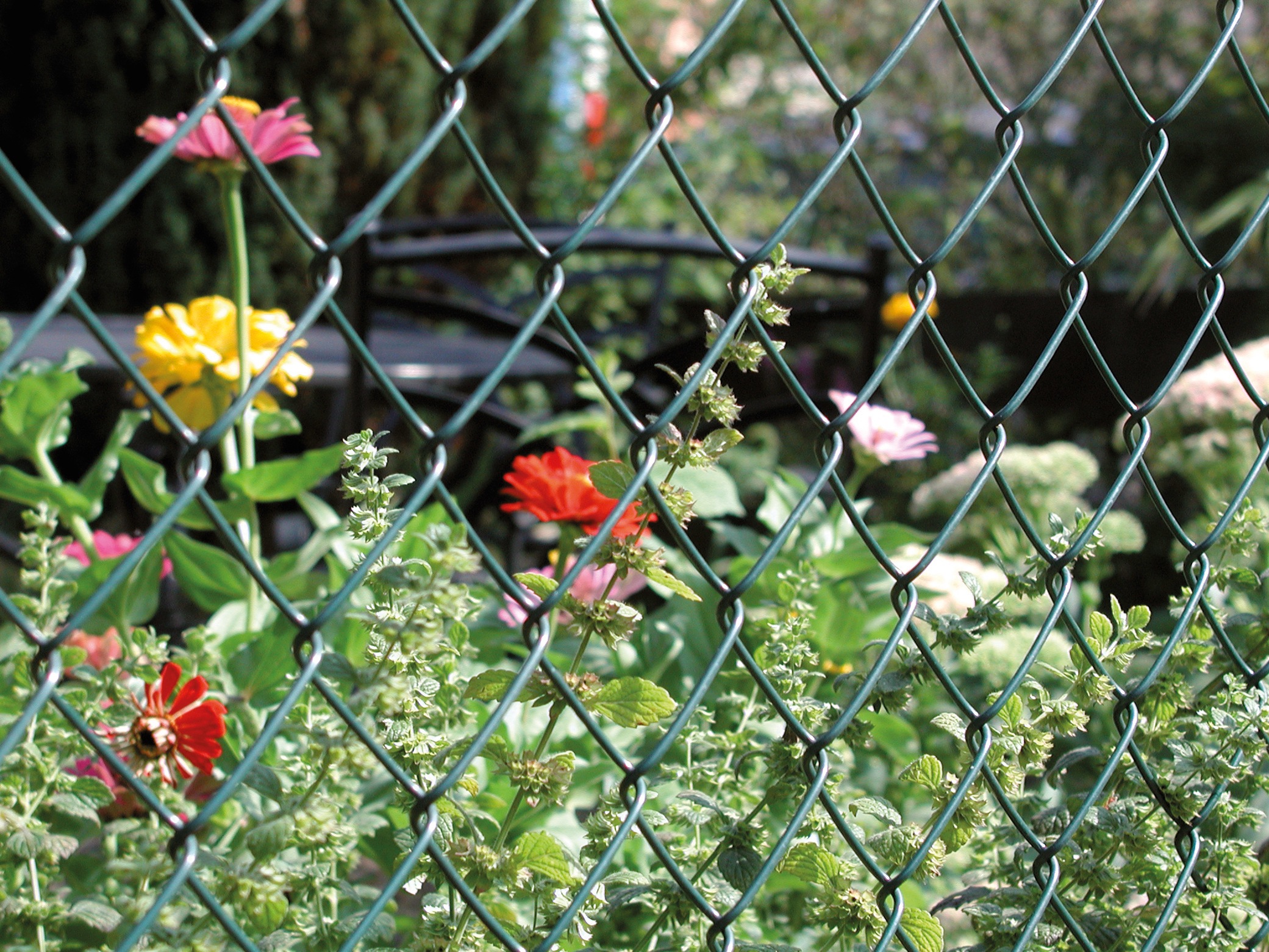 Alberts Maschendrahtzaun Höhe: 80-200cm, Gesamtlänge: 15-25m, mit Bodenhülsen