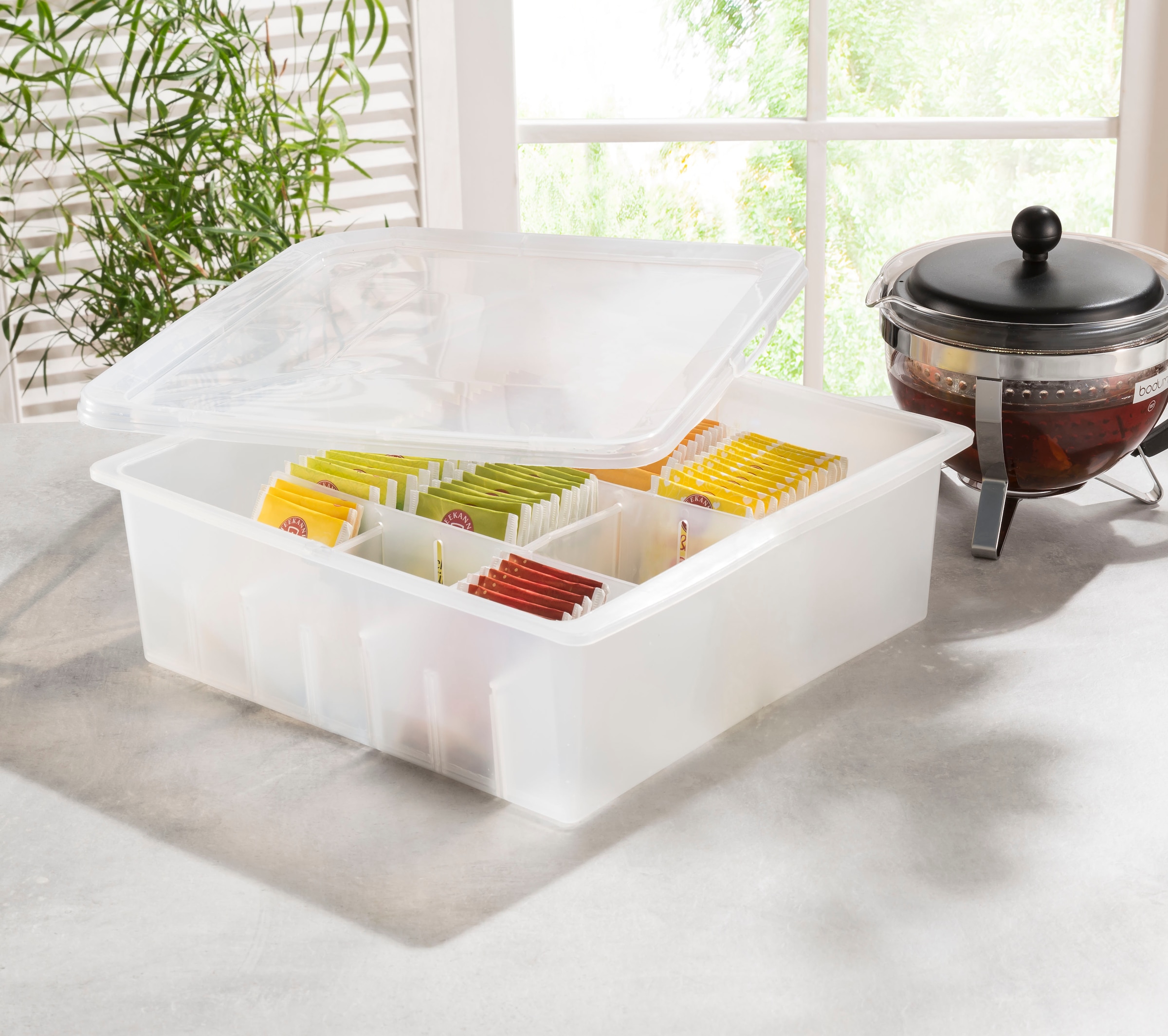 Ruco Aufbewahrungsbox mit Deckel, 16 Fächer, Ideal für Christbaumkugeln, Kosmetik