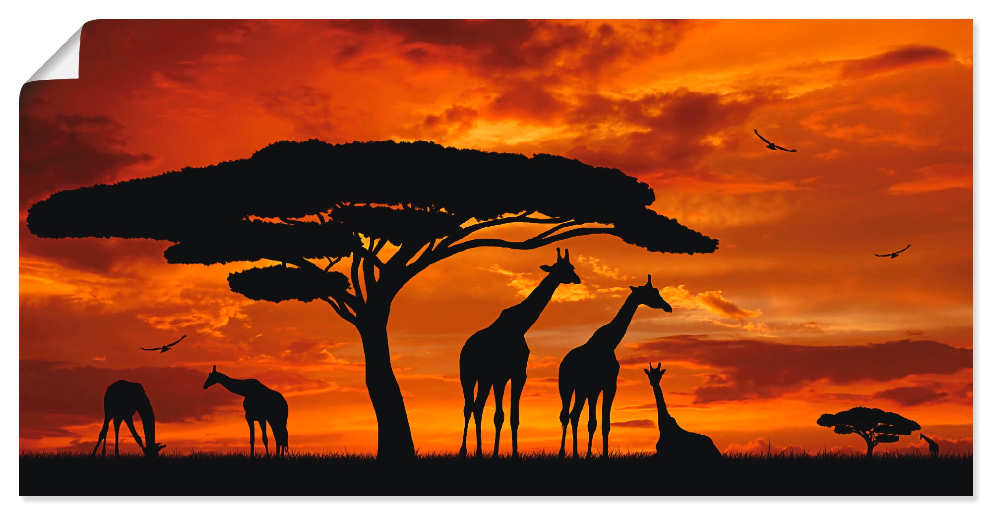 Artland Wandbild »Herde von (1 Leinwandbild, in St.), im als Poster Größen verschied. Wildtiere, Giraffen bestellen Rechnung auf Sonnenuntergang«