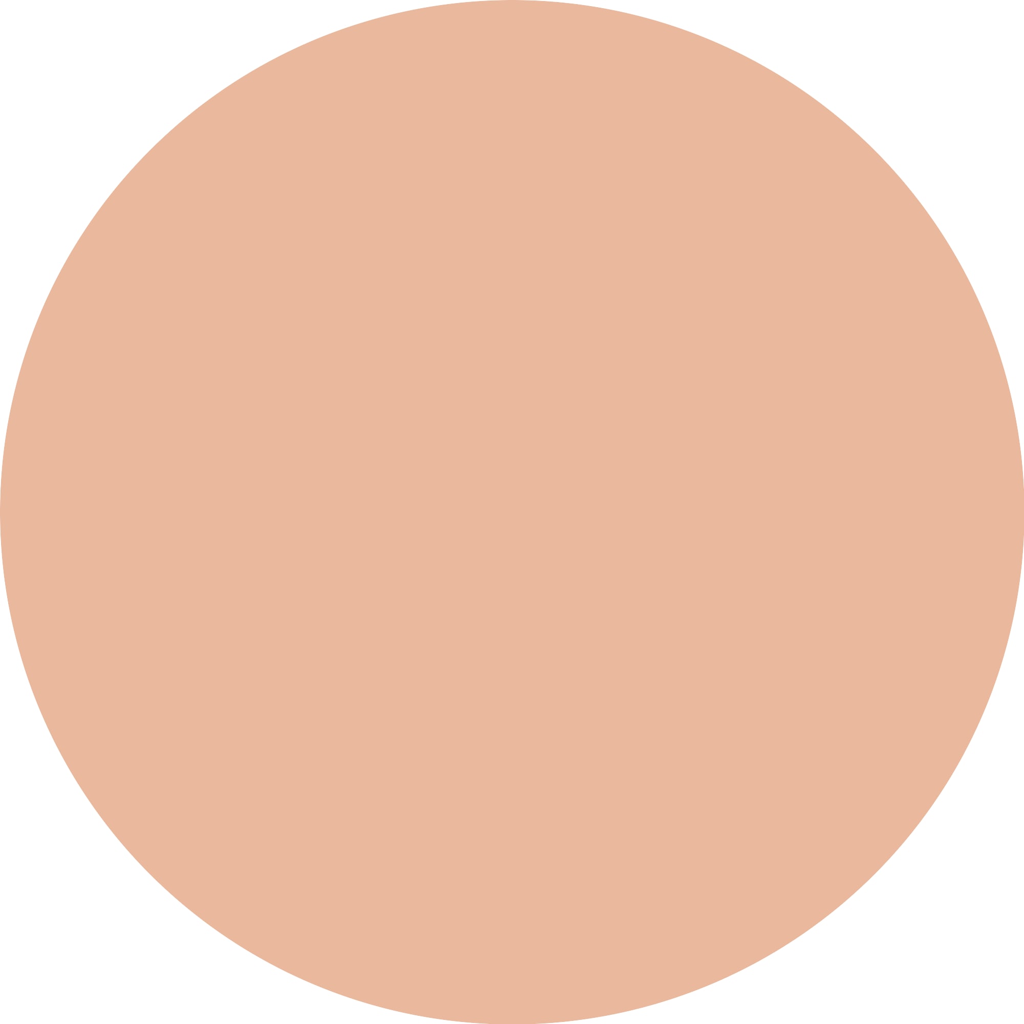 Catrice Puder »Soft Blur Matte Airbrush Powder«