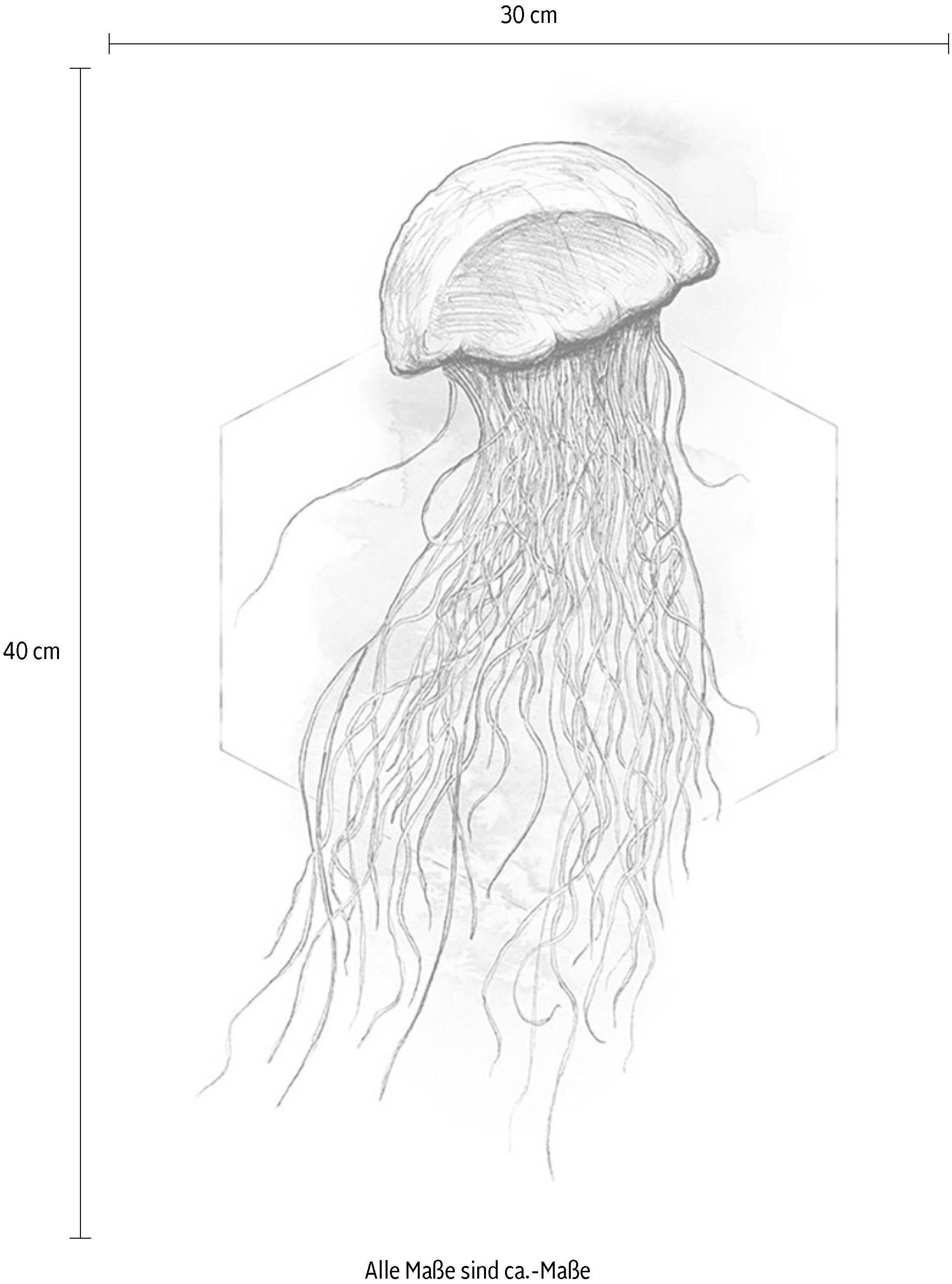 Komar Bild »Jellyfish Watercolor« Tiere 1 Stk. tlg. Wandbild zur Dekoration - ohne Rahmen