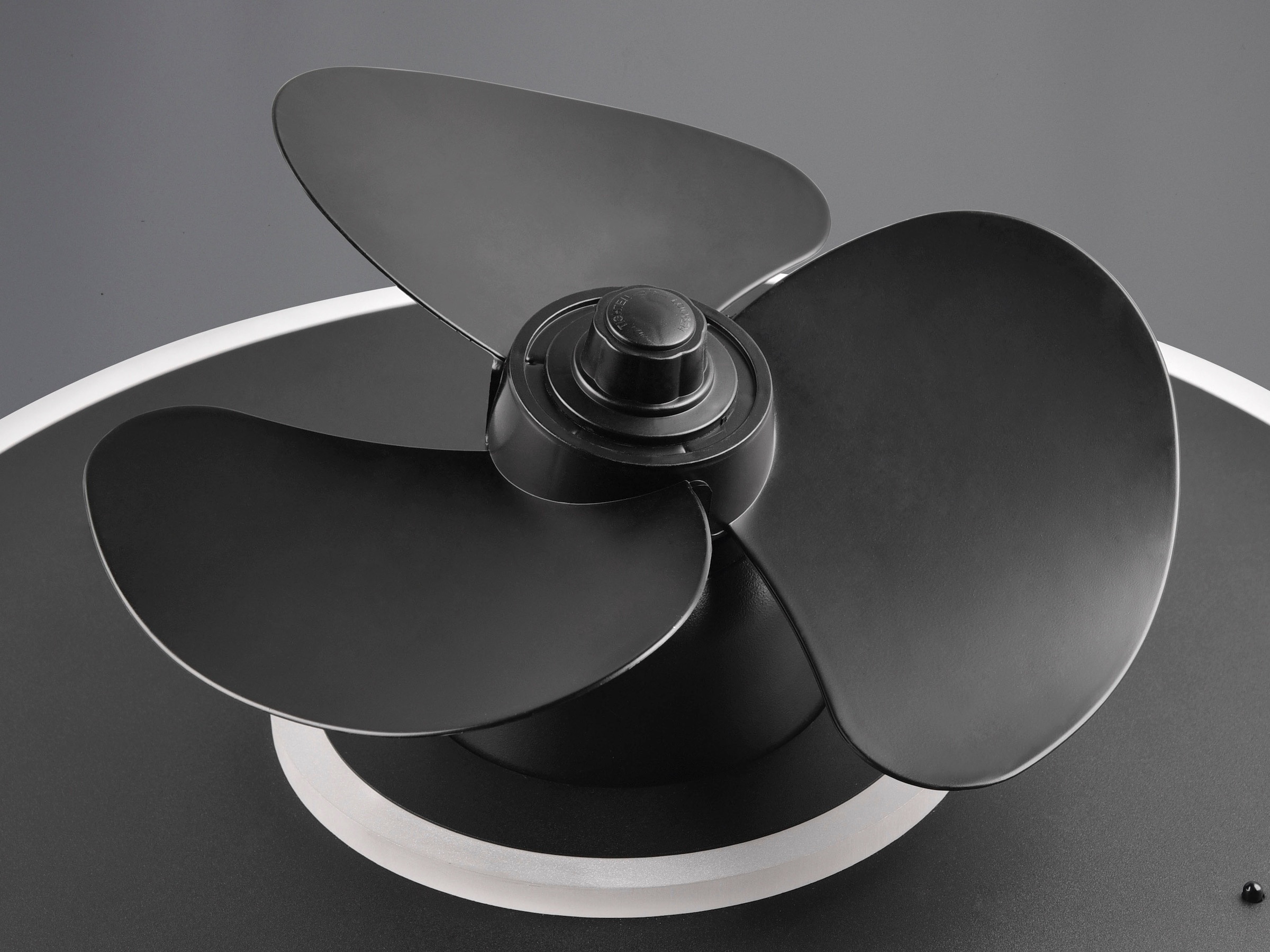 REALITY Leuchten LED Deckenleuchte »Nybro Deckenventilator«, 1 flammig, Leuchtmittel LED-Board | LED fest integriert, Deckenlampe, Ventilator 3 Stufen, Fernbedienung,Lichtfarbe einstellbar