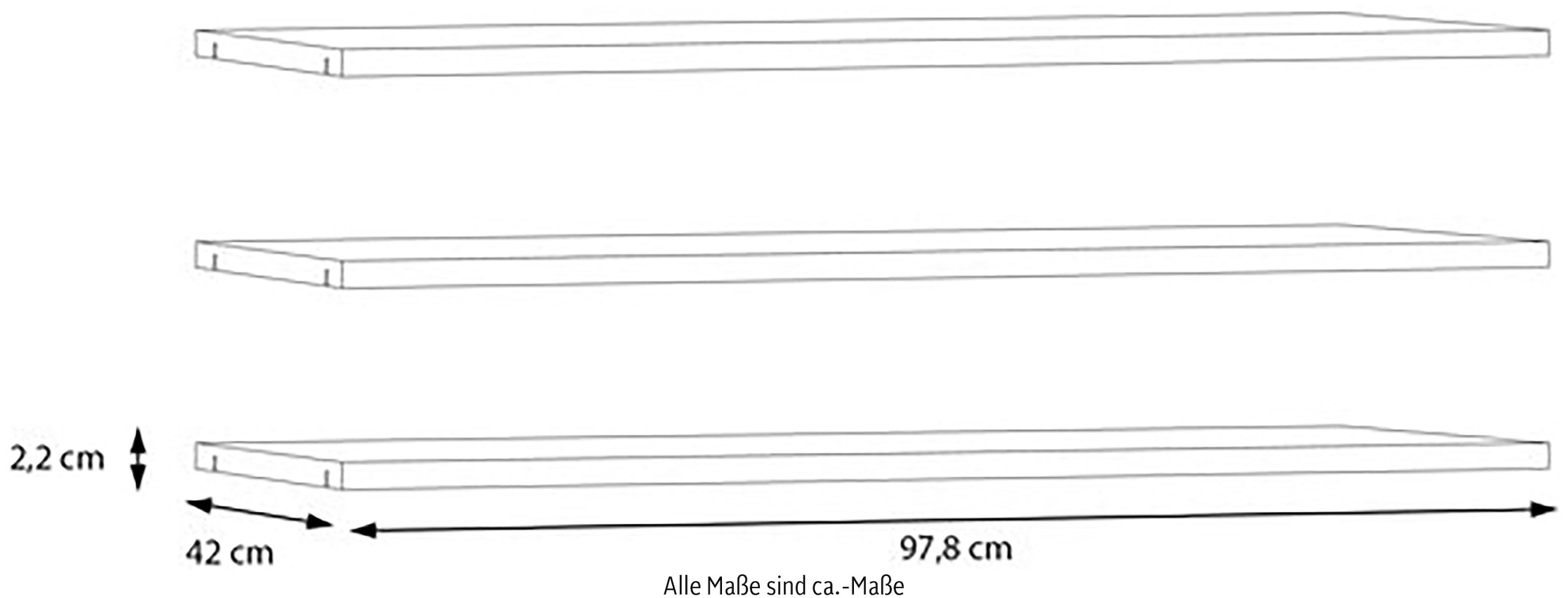FORTE Einlegeboden, Einlegeböden 2,2 cm Stärke, optional bestellbar, 3er Set