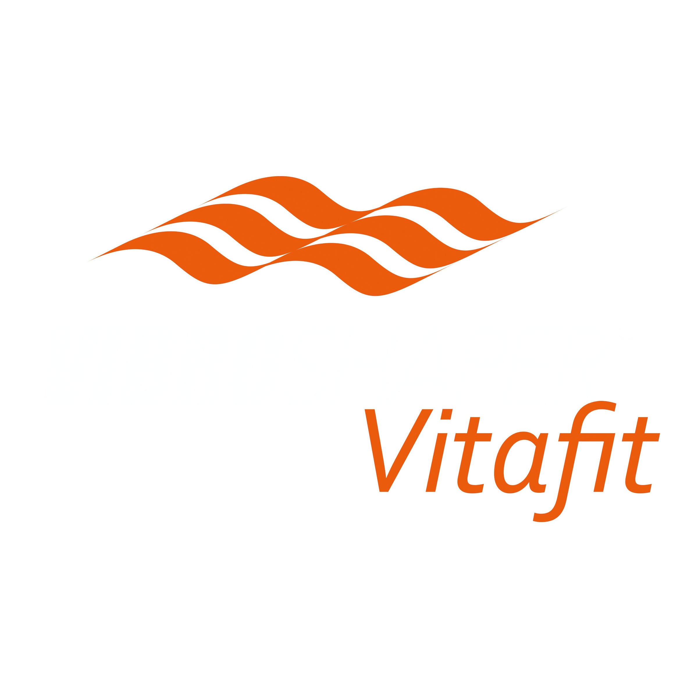 MediaShop Vibrationsplatte »Vibroshaper VitaFit«