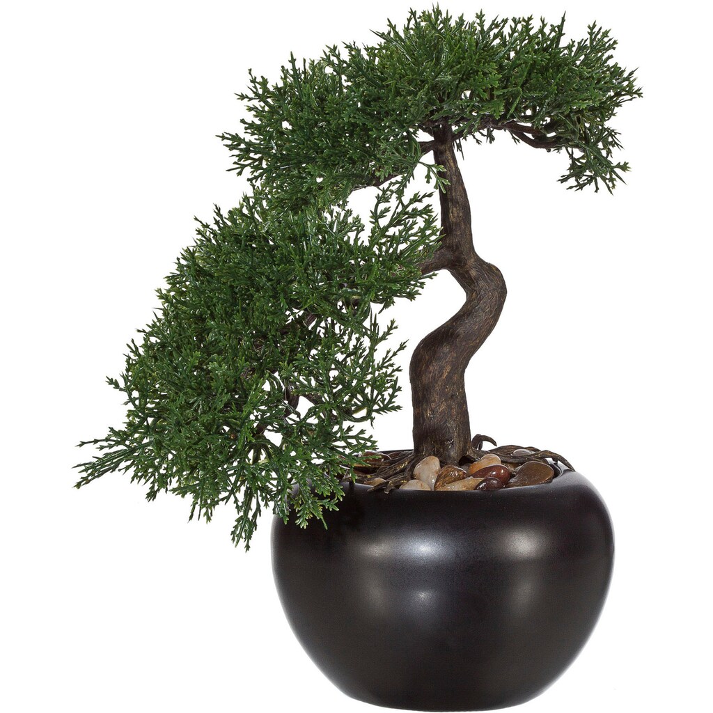 Creativ green Kunstbonsai »Bonsai Zeder im Keramiktopf«