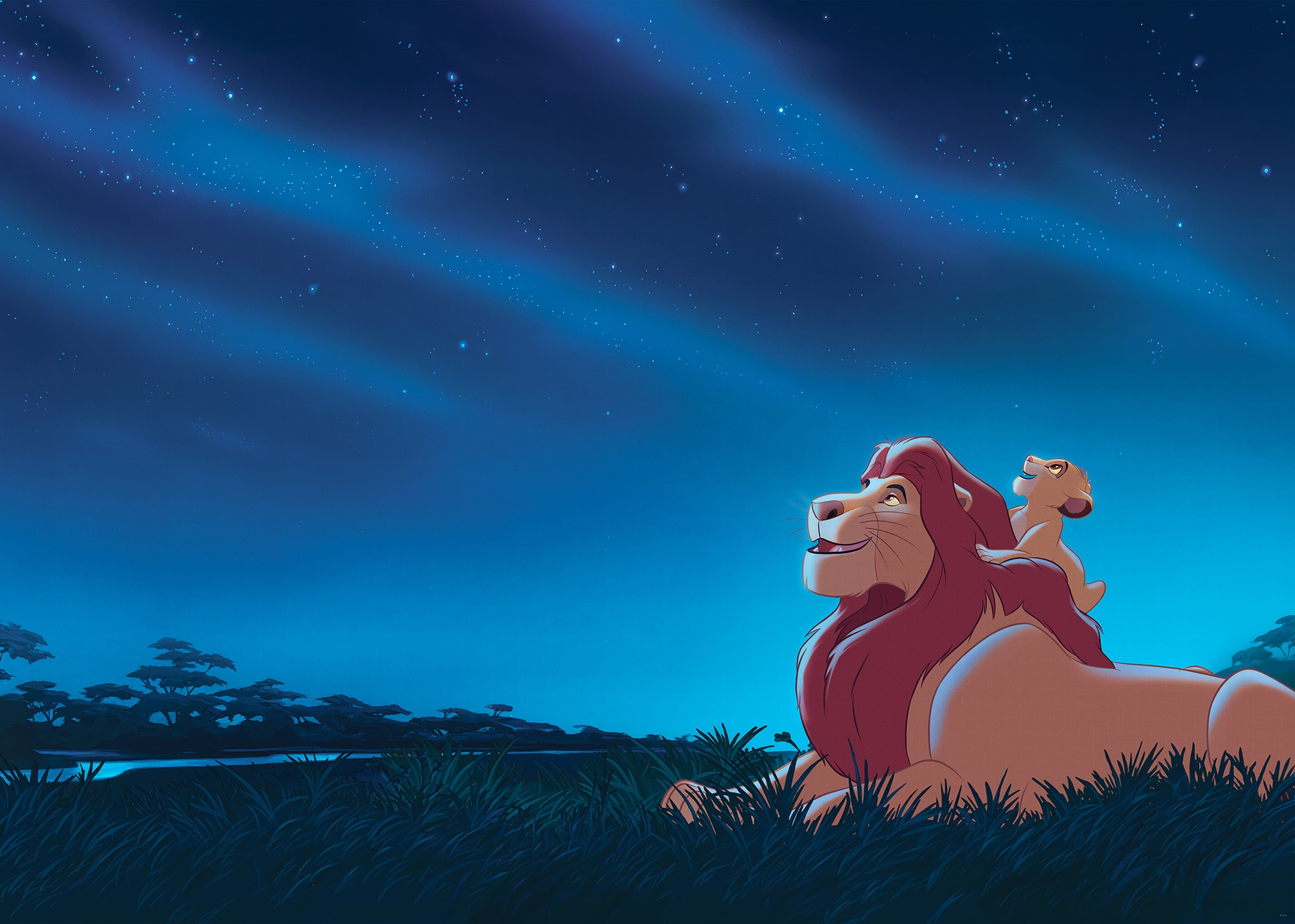 Komar Kindertapete »Disney The Lion King Stargazing«, bedruckt