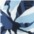 blau
bedruckt