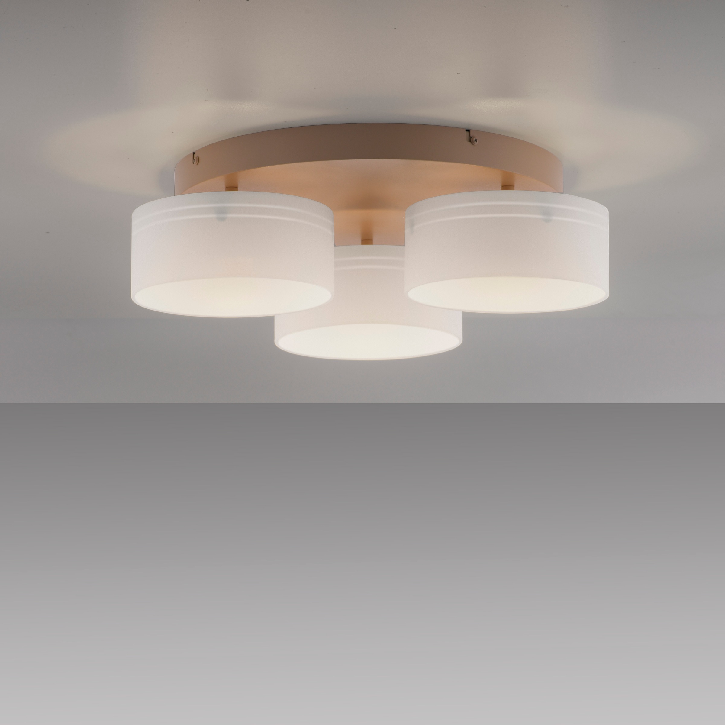 Paul Neuhaus LED Deckenleuchte »MARIKA« LED-Board 1 Stk. Warmweiß Stufenlos dimmbar über den Lichtschalter, Memoryfunktion, Opalgläser