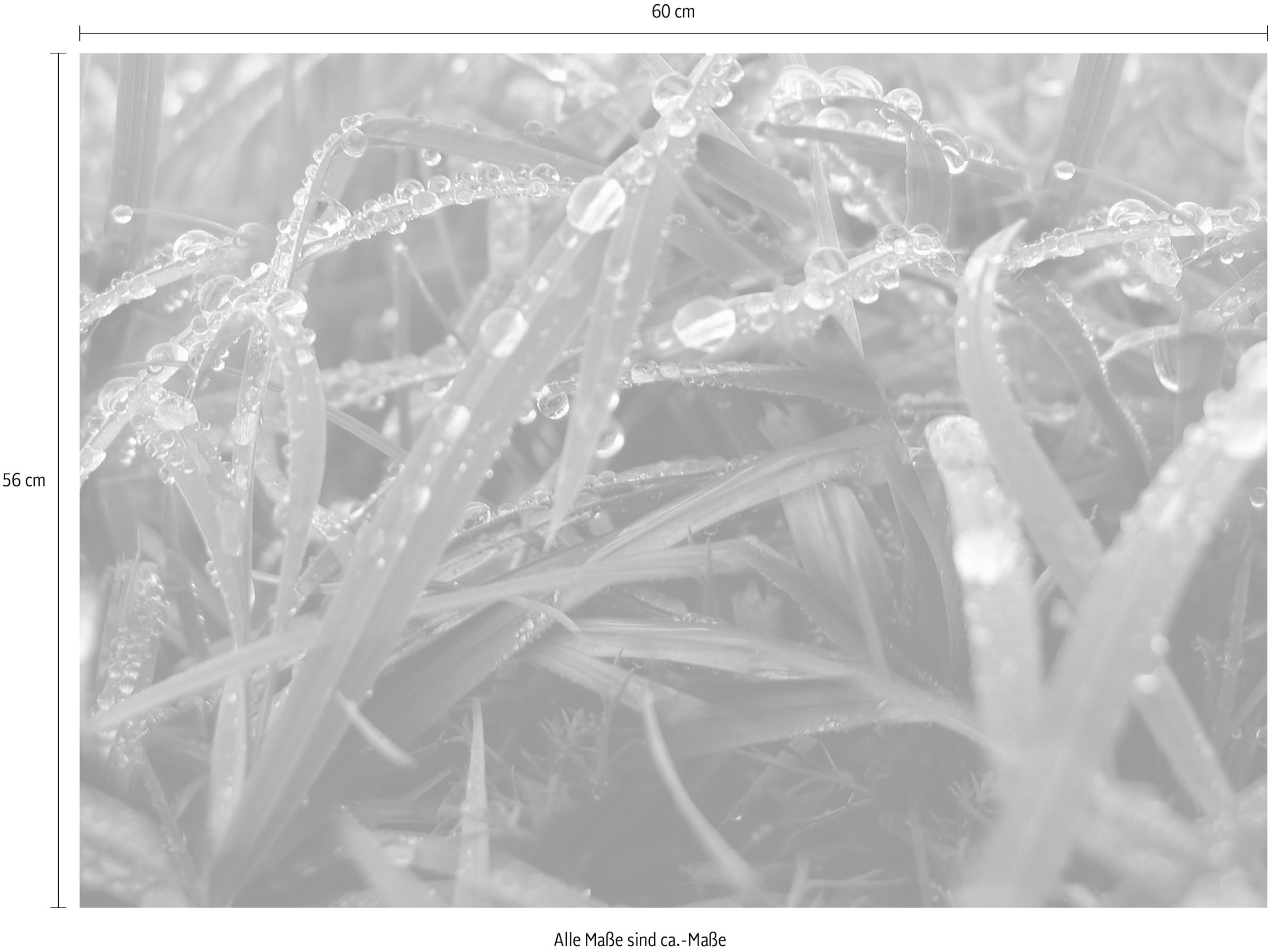 Express Küchen Küchenrückwand »"Regenwald", als Spritzschutz geeignet, mit Schutzlack versehen« in verschiedenen Breiten