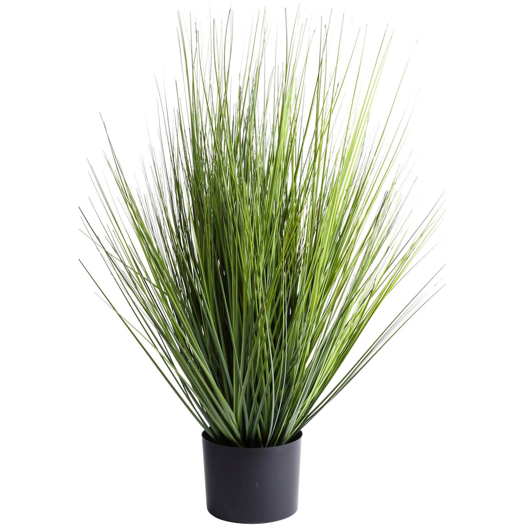 Botanic-Haus Kunstgras »Grasarrangement King Festuca«