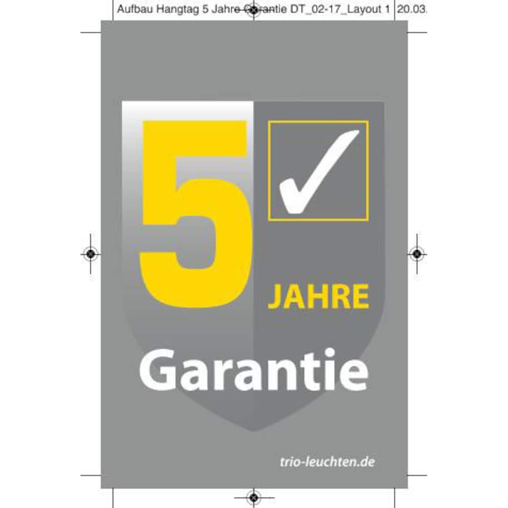 TRIO Leuchten LED Deckenleuchte »Visby«, mit Ventilator, Fernbedienung, integrierter Dimmer und Nachtlicht. Leuchte und Ventilator getrennt schaltbar