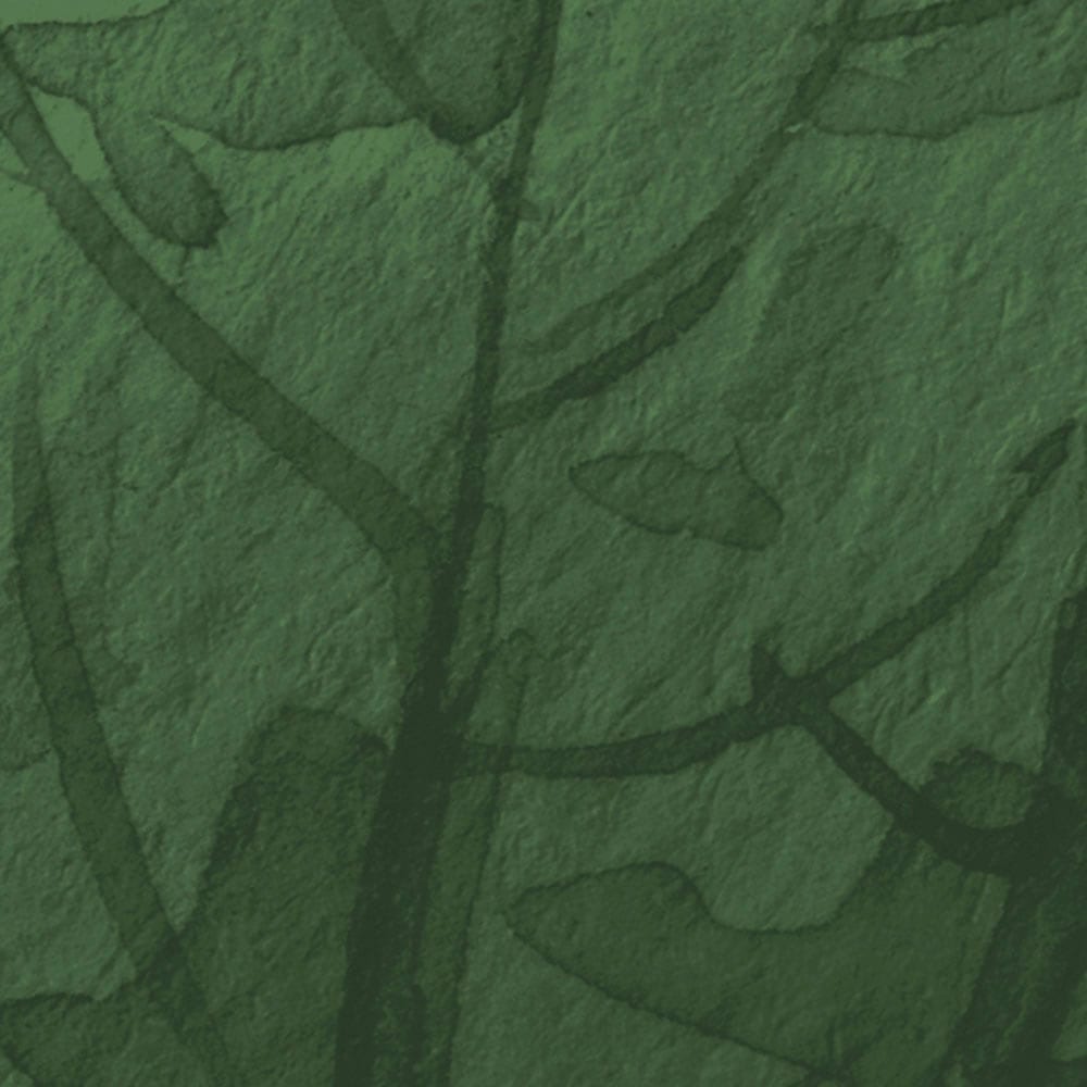 Komar Fototapete »Digitaldruck Vlies - Botanic Harmony - Größe 500 x 250 cm«, bedruckt, Wohnzimmer, Schlafzimmer