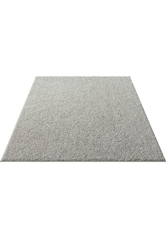 DELAVITA Hochflor-Teppich »Corri«, rechteckig, 30 mm Höhe, weiche Haptik, mit... kaufen