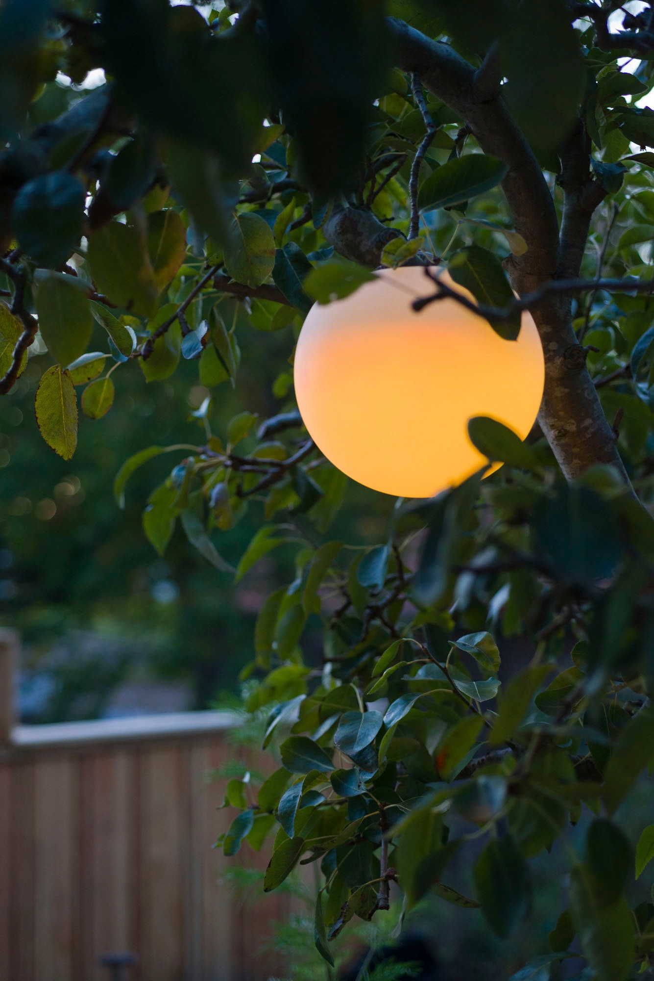 Ubbink LED Gartenleuchte »MultiBright Solar Float 30«, für Garten, Teich oder Pool