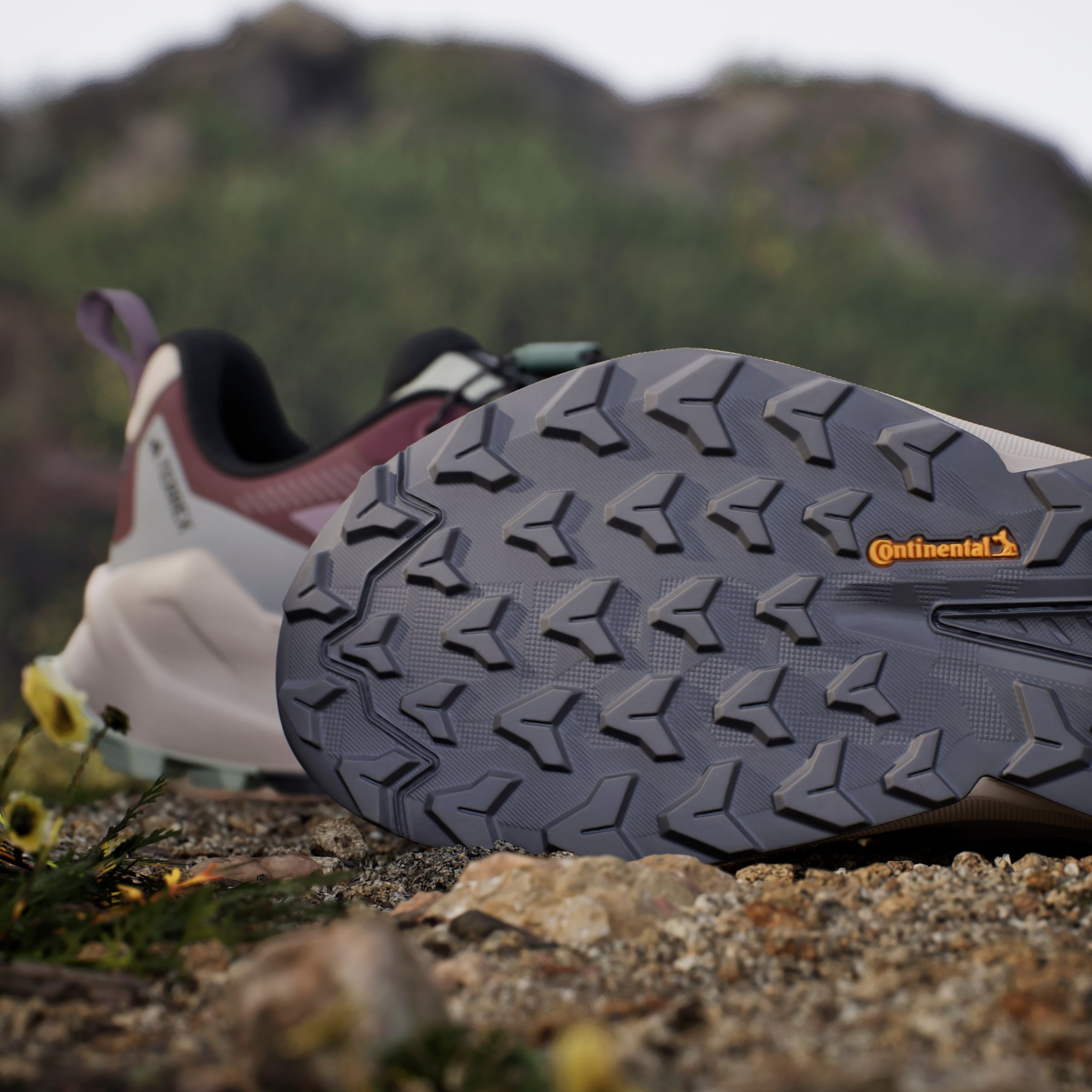 adidas TERREX Wanderschuh »TERREX TRAILMAKER 2 GORE-TEX SPEED LACE«