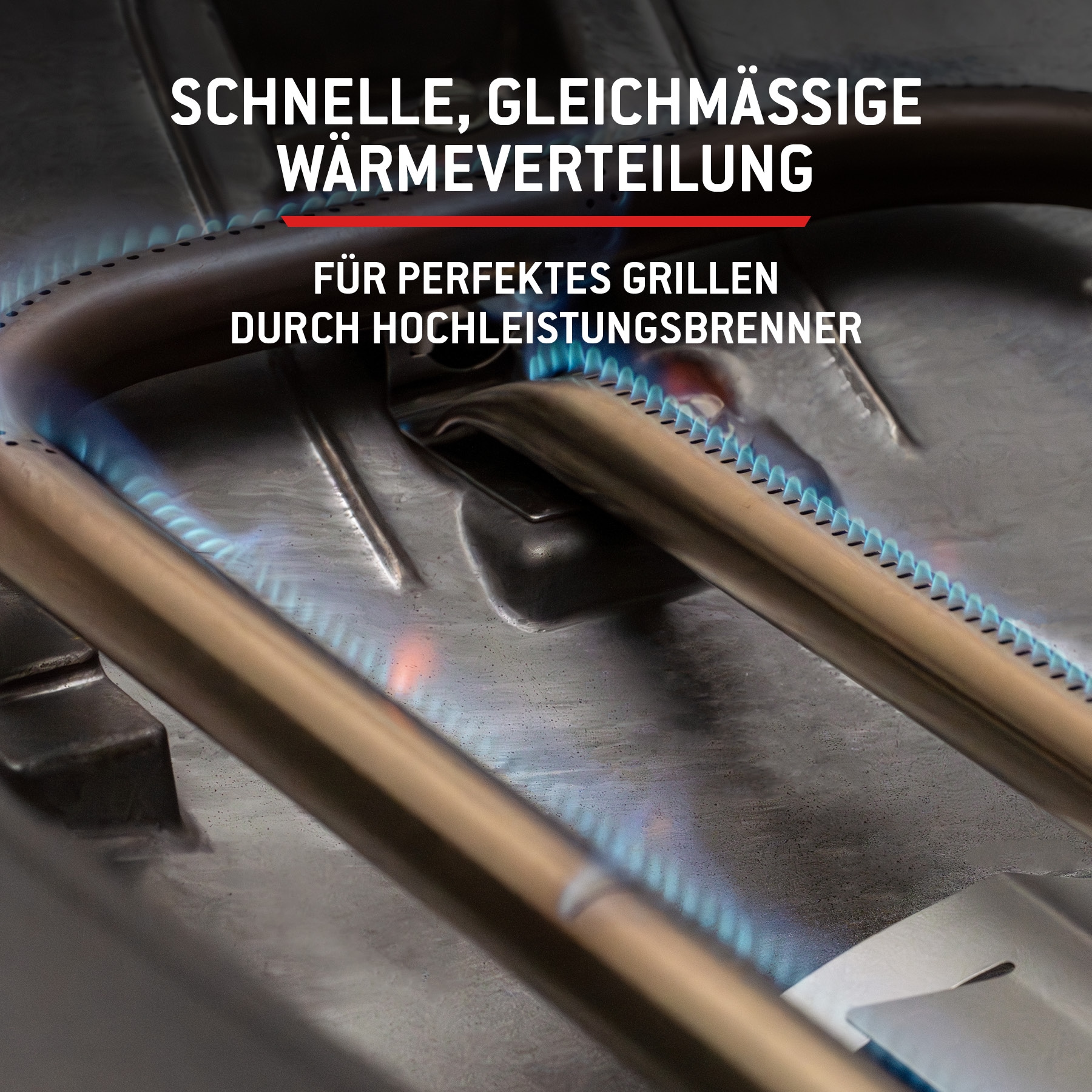 Weber Gasgrill »Q2200N« Mit Deckelthermometer, abnehmbaren Seitentischen und Untergestell
