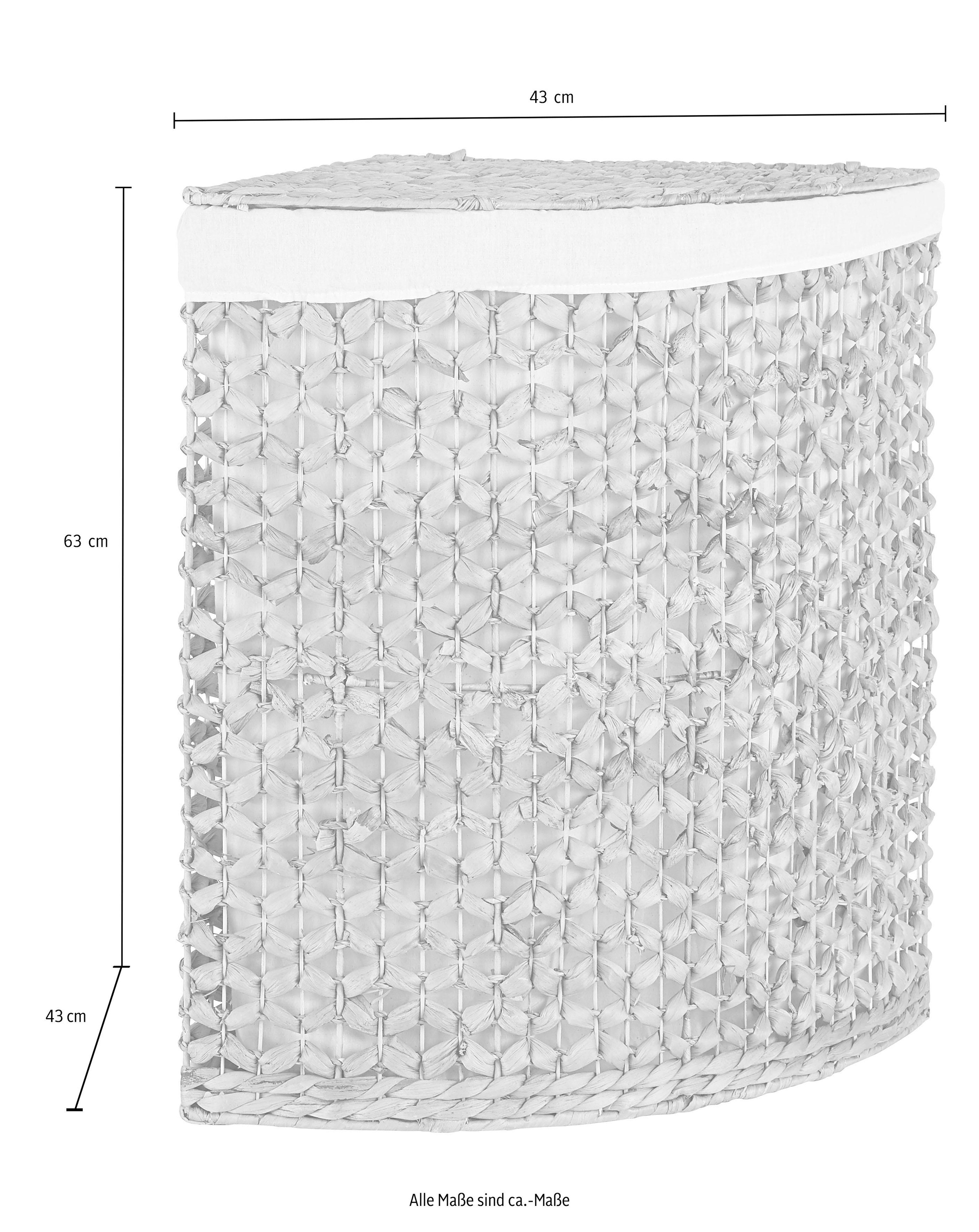 Wasserhyazinthe, affaire mit Wäschebox, 63 cm Jahren 3 XXL Home Garantie Höhe