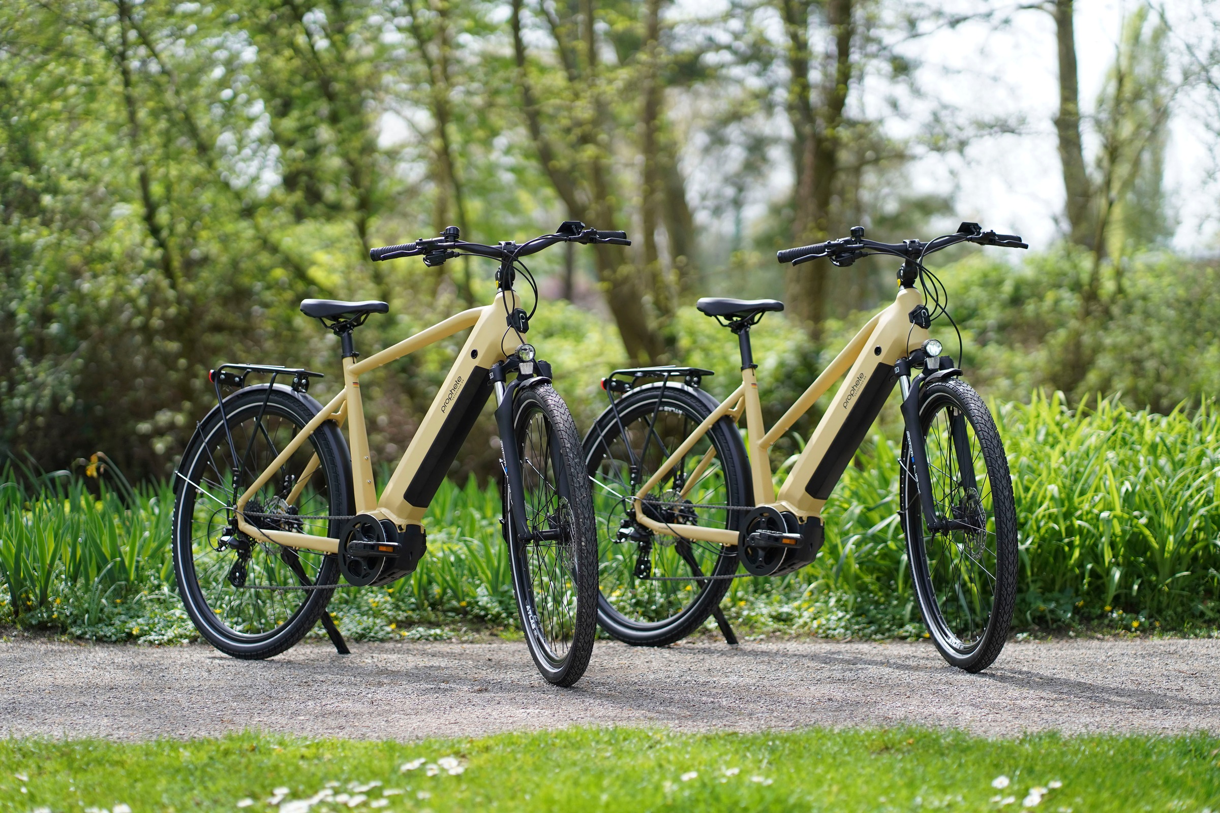 Prophete E-Bike »Entdecker 3.4«, 8 Gang, Shimano, Mittelmotor 250 W, Pedelec, Elektrofahrrad für Damen