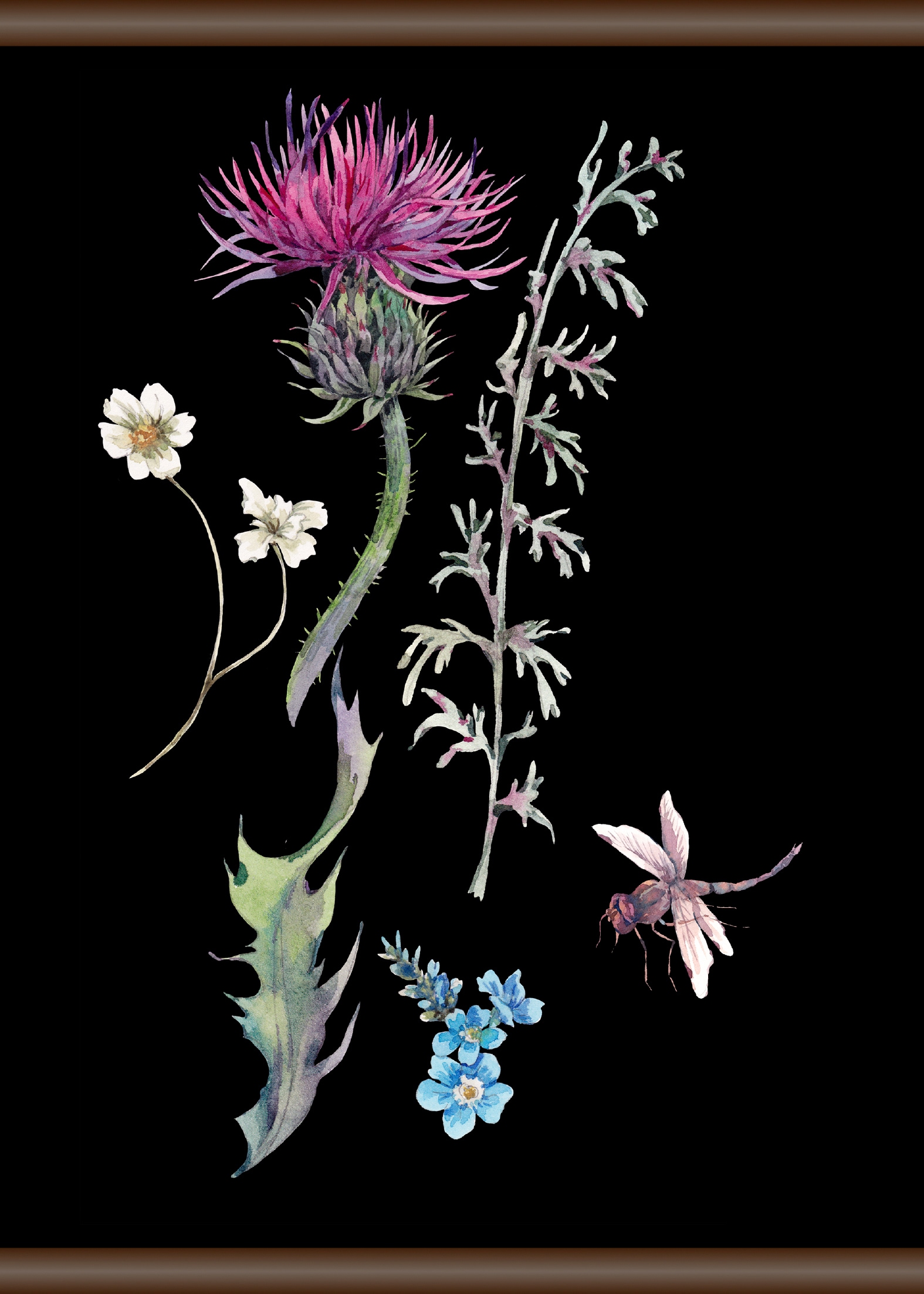 queence Leinwandbild »Pflanzen und Libellen«, 50x70 cm bequem bestellen