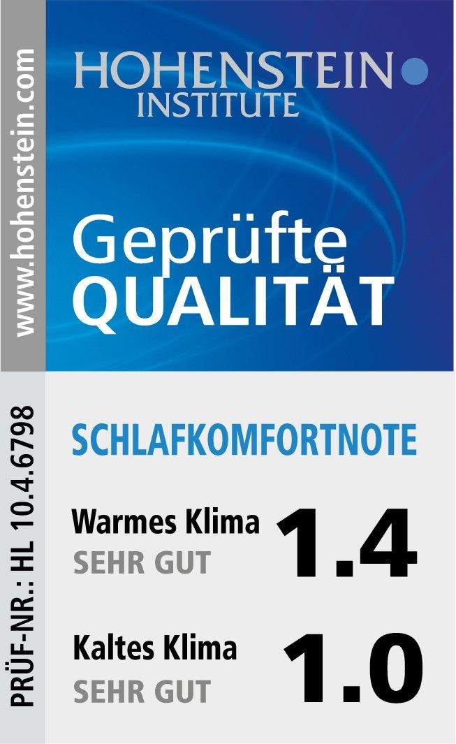 Haeussling Einziehdecke »Swiss Royal«, warm, Füllung weiße neue Daunen und Federn, Klasse I, (90% Daunen, 10% Federn), Bezug feine Einschütte, 100% Baumwolle, (1 St.)