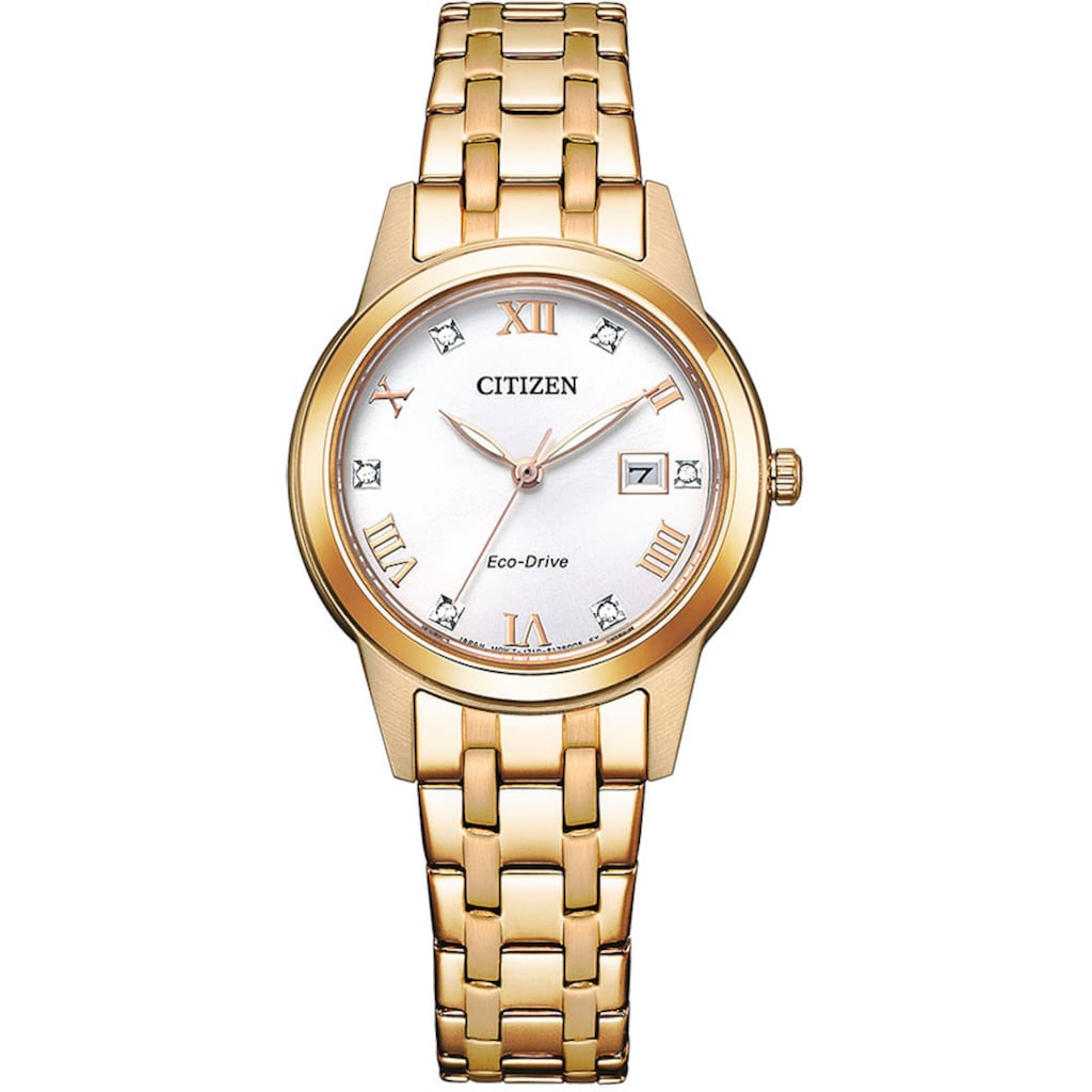 Citizen Solaruhr »FE1243-83A«