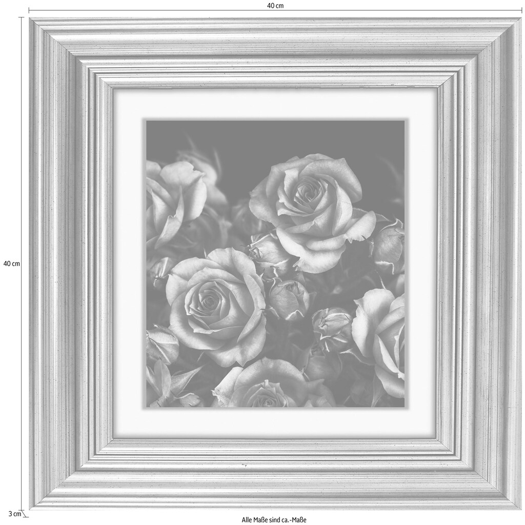 queence Acrylglasbild »Rosen Blüten«