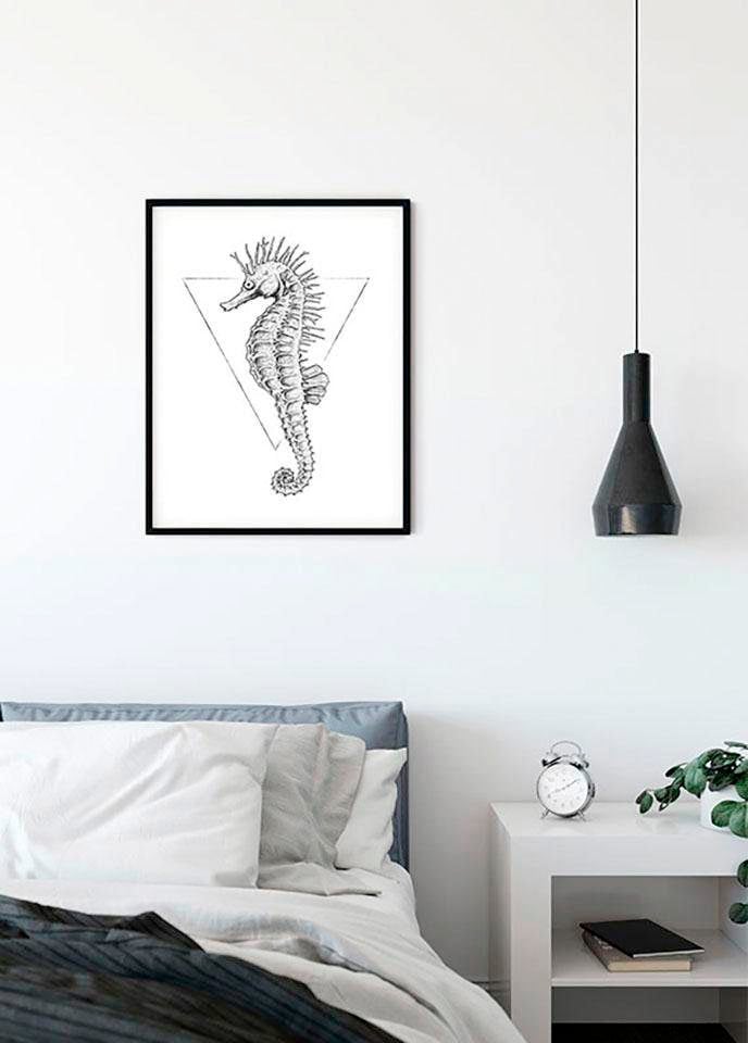 Komar Bild »Sea Horse White« Tiere 1 Stk. tlg. Wandbild zur Dekoration - ohne Rahmen