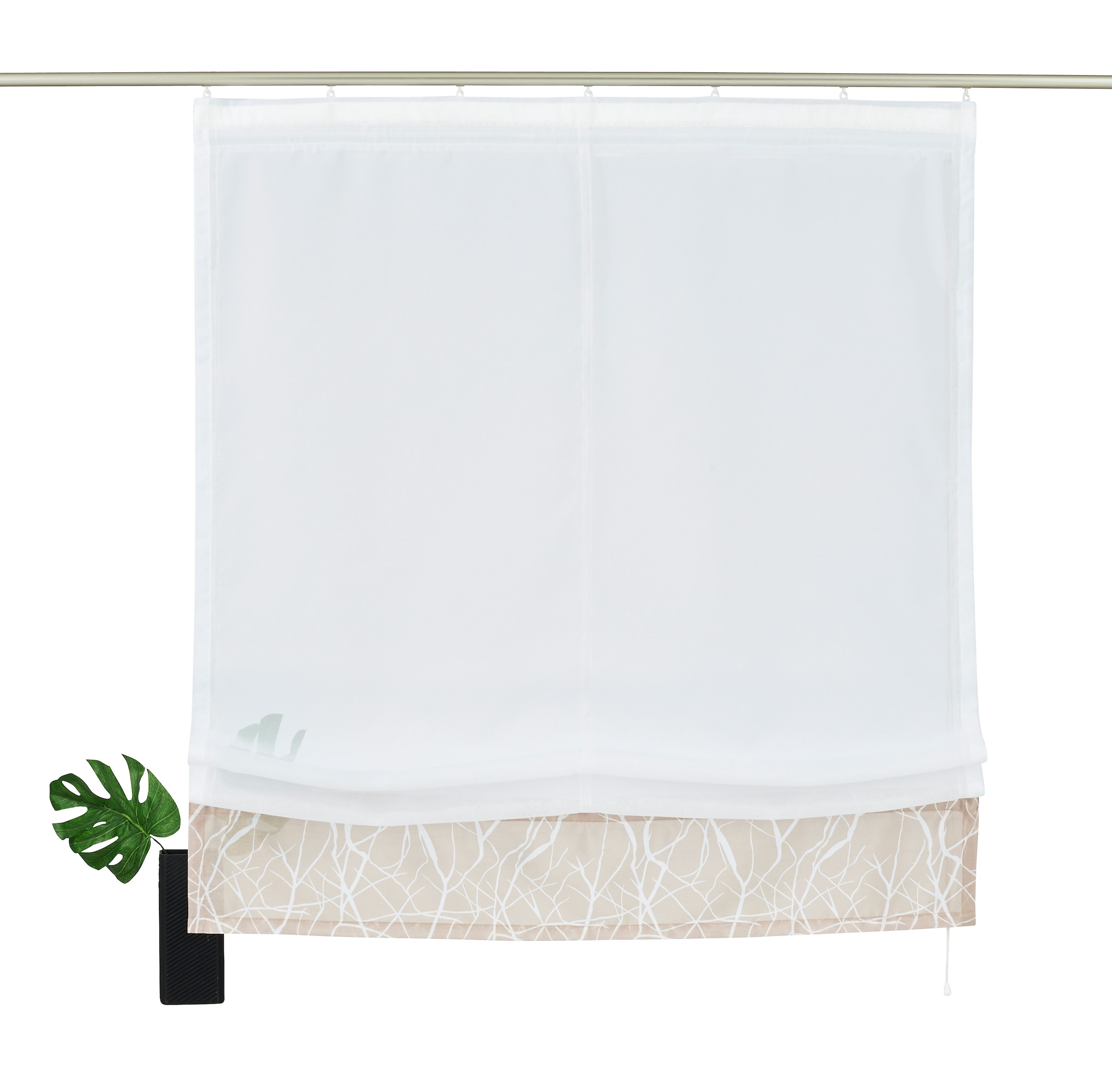my home Raffrollo »Camposa« mit Klettband Transparent, Voile, Polyester