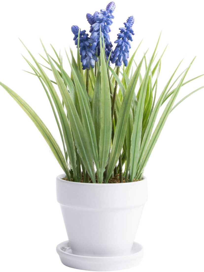 kaufen Zimmerpflanze Künstliche Raten »Lavendel« auf Botanic-Haus