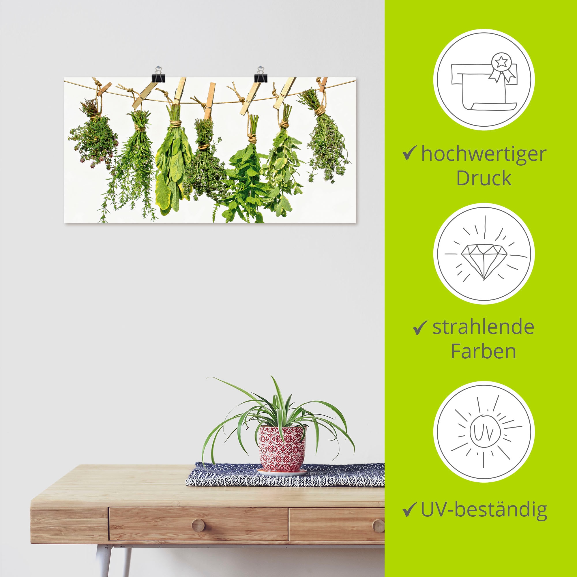 Artland Wandbild »Kräuter«, Pflanzen, (1 St.), als Alubild, Outdoorbild, Leinwandbild, Poster, Wandaufkleber