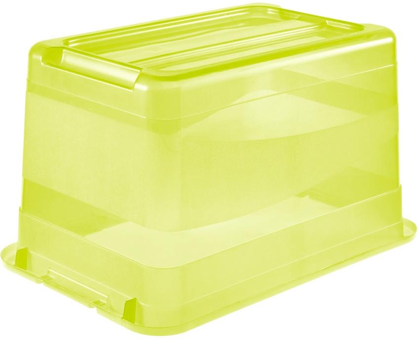 keeeper Organizer »cornelia«, (Set, 2 St.), Aufbewahrungsbox, 52 L, mit Deckel und Schiebeverschluss, Kunststoff