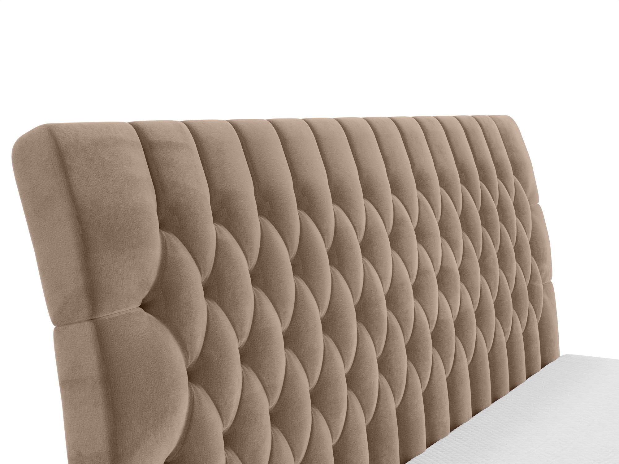 Leonique Polsterbett »SYDNEE mit Matratze und Topper, in 2 Breiten (160 und 180 cm)«, Boxspringbett mit Kopfteil, Bettkasten, Matratze (BFK/TFK) und Topper
