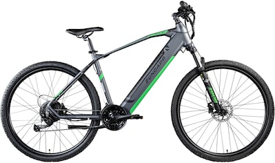 E-Bike »Z808«, 24 Gang, Heckmotor 250 W