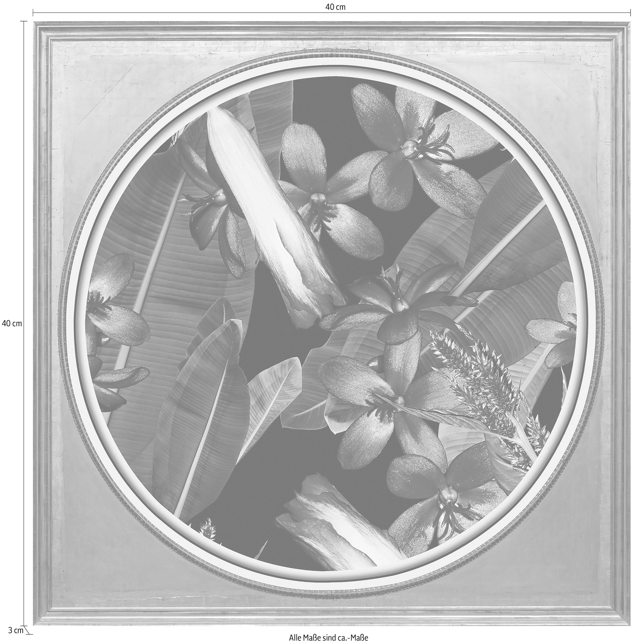 queence Acrylglasbild »Tropische Blüten«, Blumen-Blumenbilder-Kunst-Pflanzen-Pflanzenbilder-Gemälde, Fine Art-Print in Galeriequalität